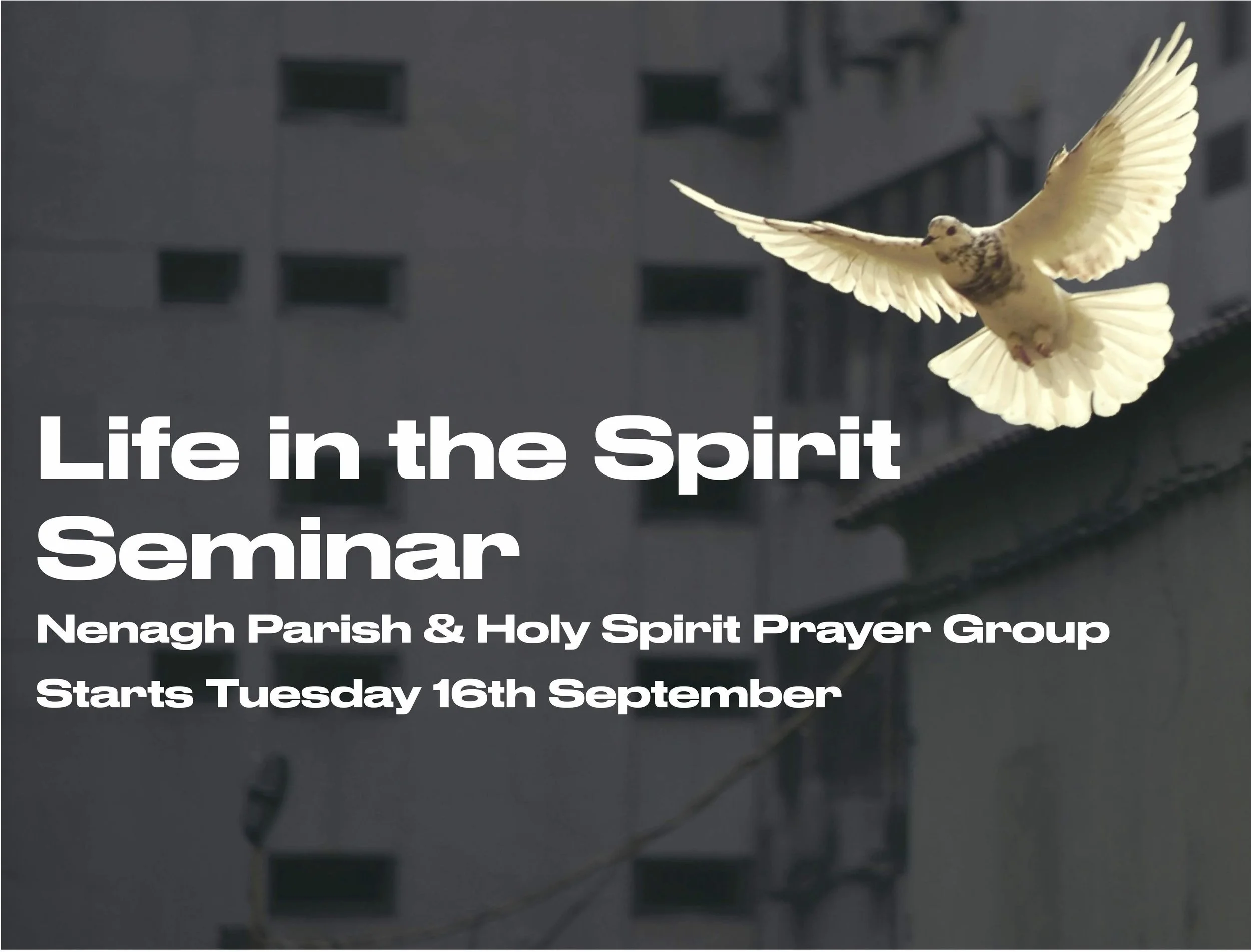 Life in Spirit Seminar - Nenagh