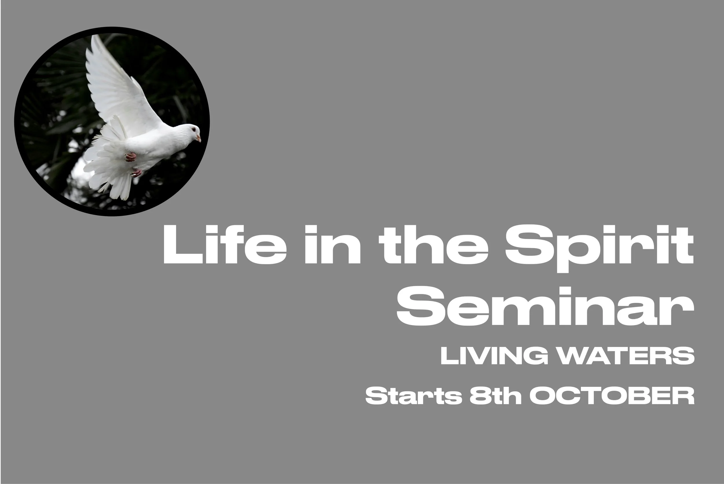 Life in Spirit Seminar - St Edith Stein Room, St Teresa’s Church, Clarendon Street, Dublin