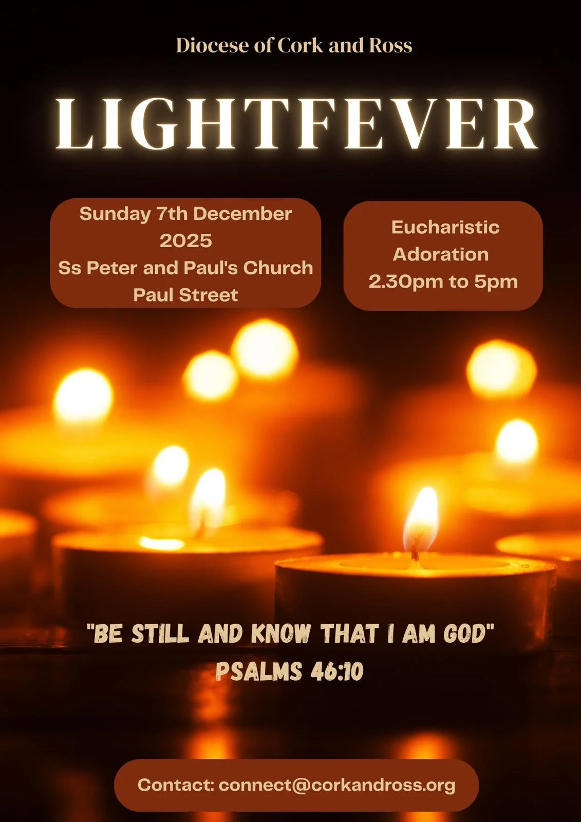 LIGHTFEVER - CORK City
