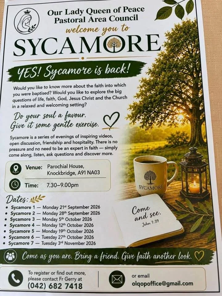 SYCAMORE - COME AND SEE! Co Louth