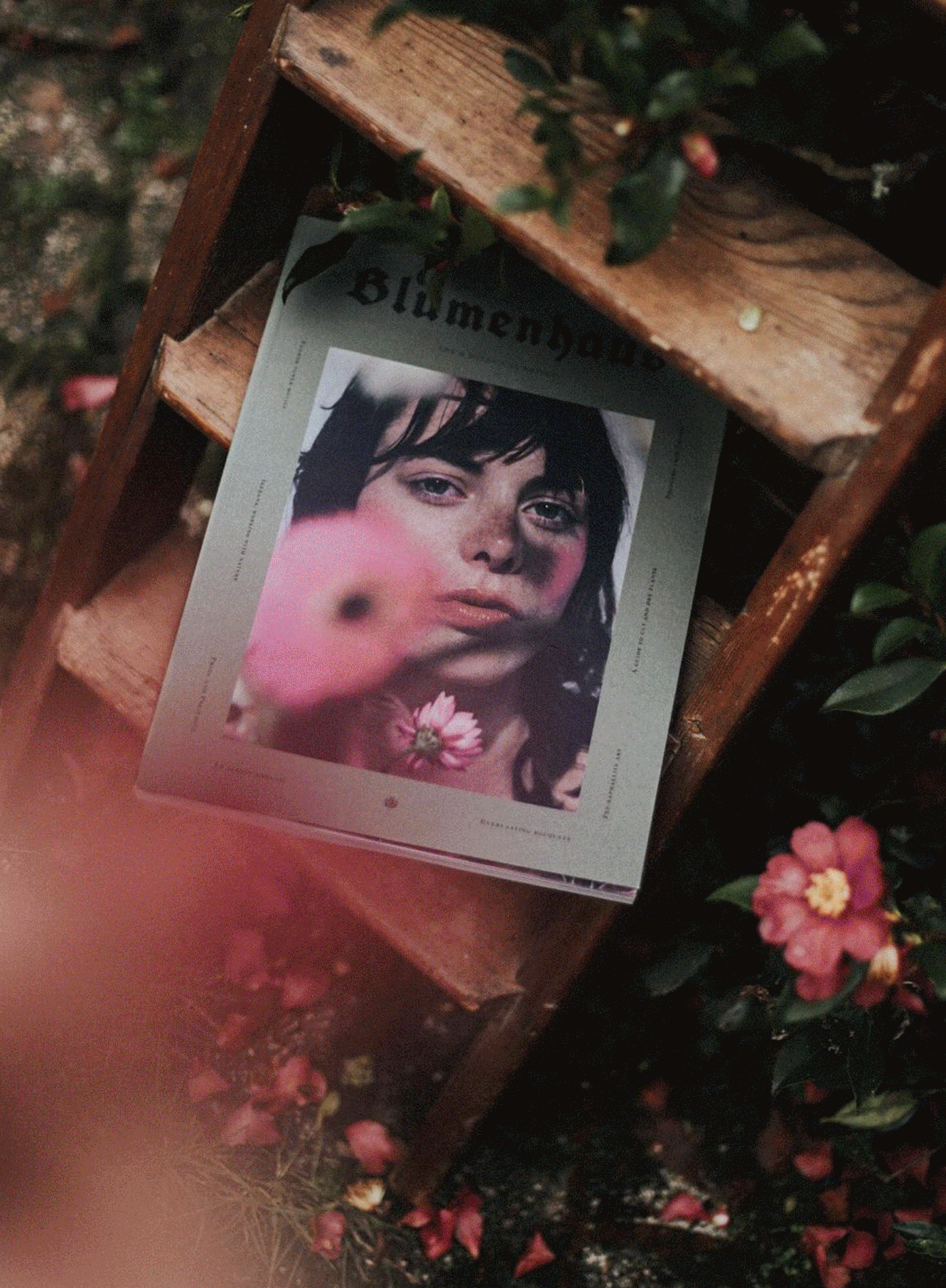 issue2-blumenhaus-pictures.gif