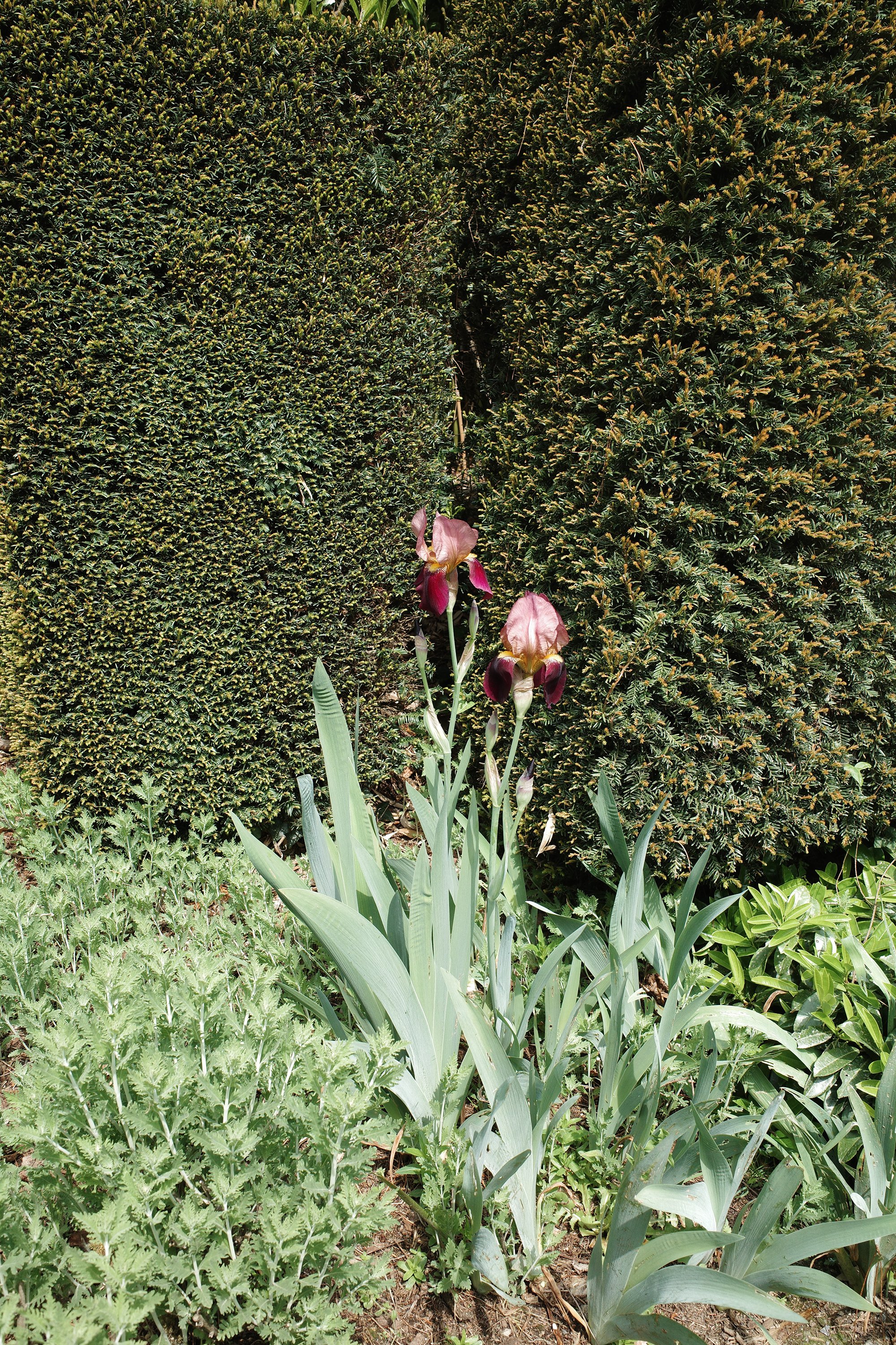 R0006212.JPG