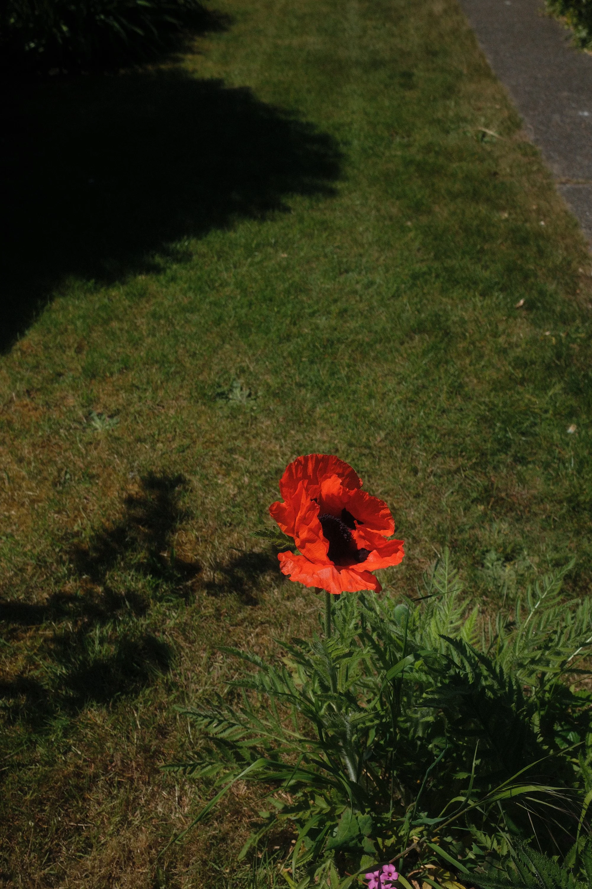 DSCF1862.JPG