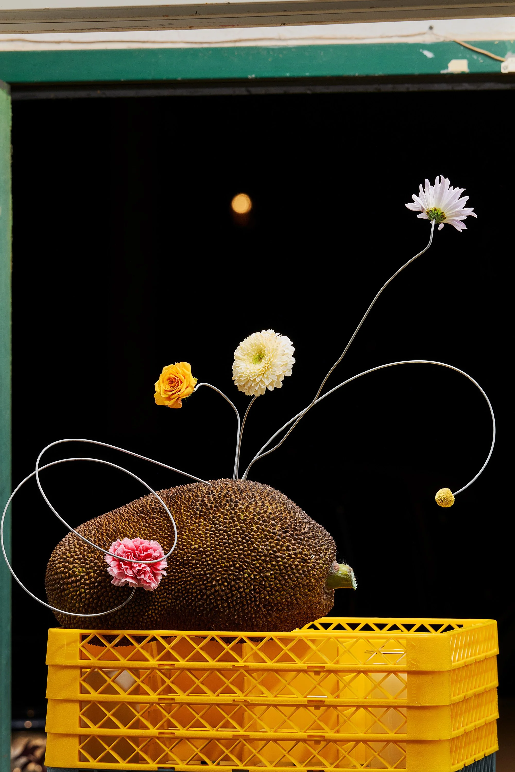The-Last-Fruit-Tree-5.jpg