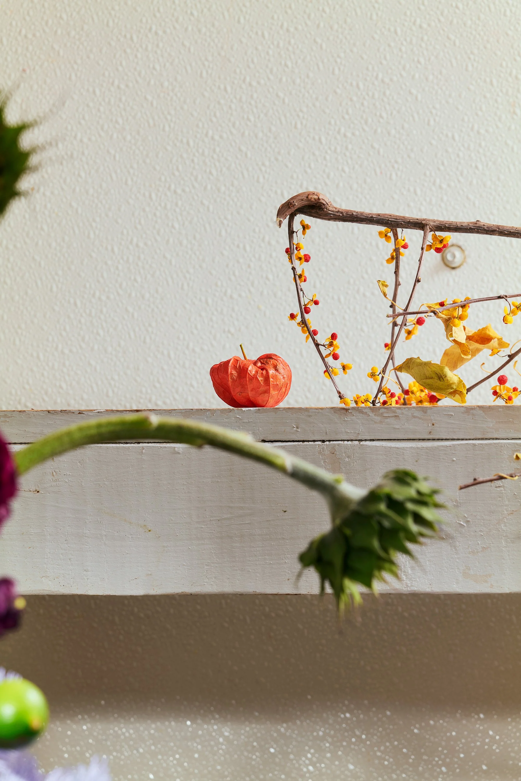 The-Last-Fruit-Tree-7.jpg