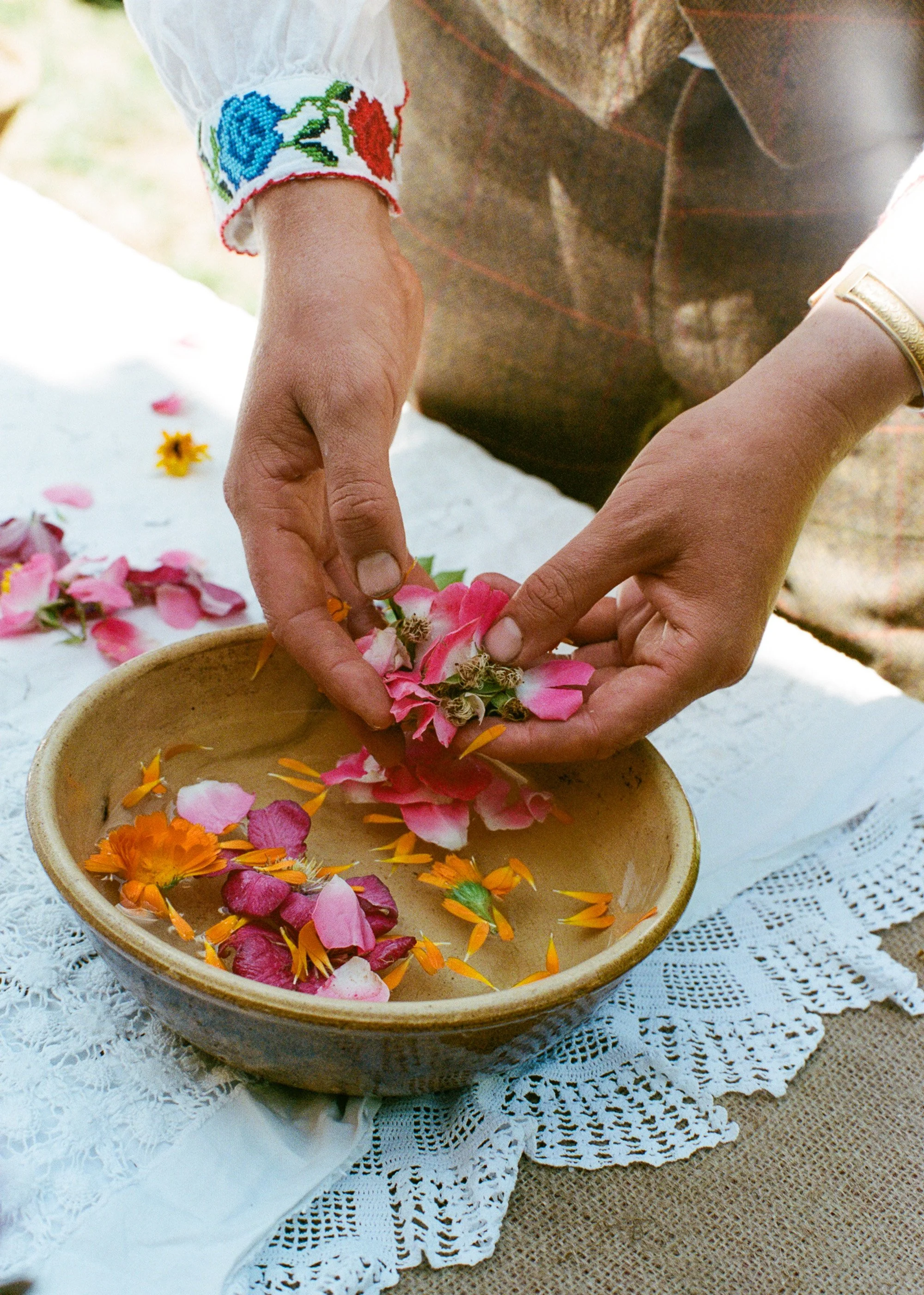 A Gatherer’s Tale