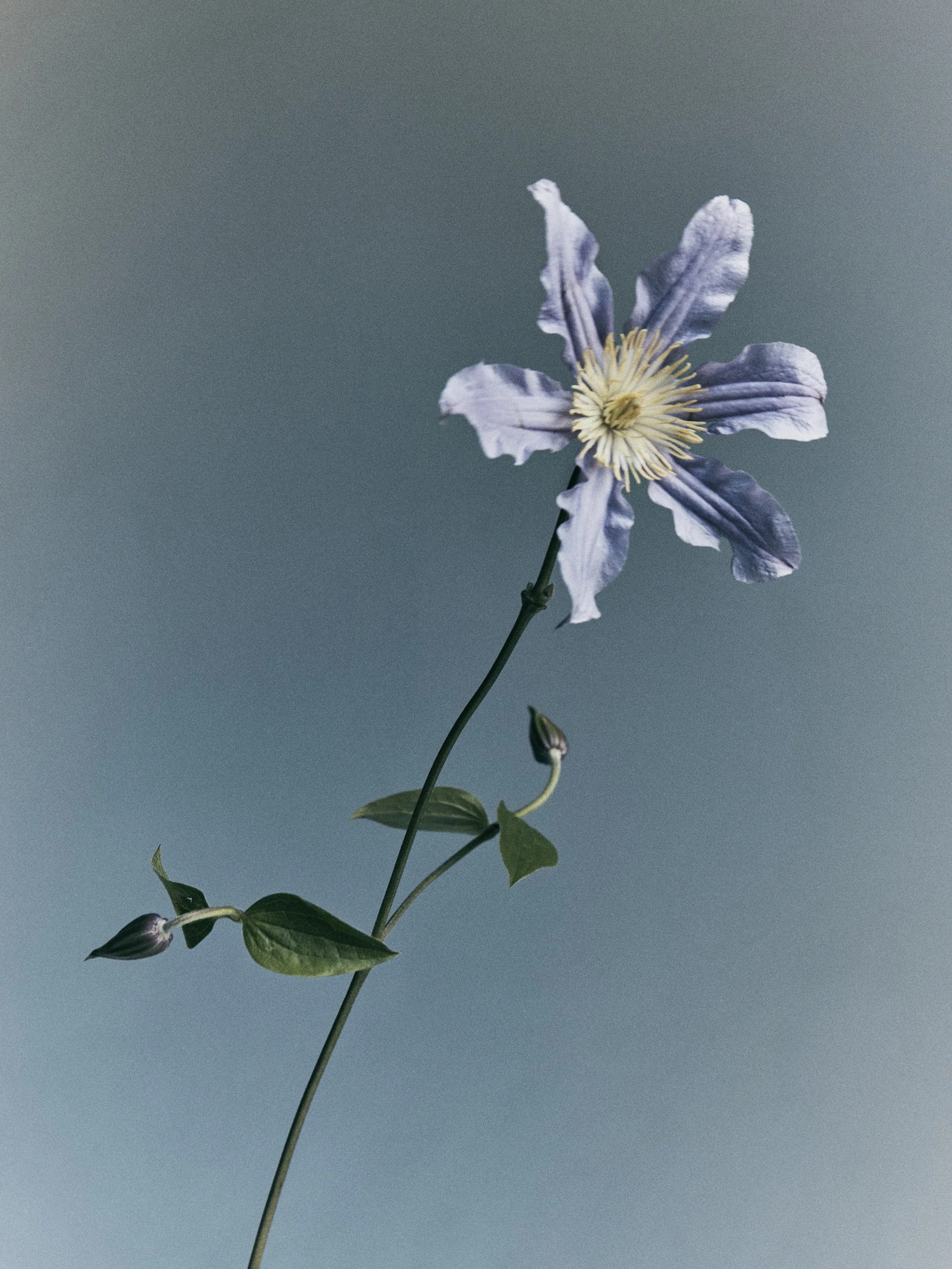 250725_Blumenhaus_13_012.jpg