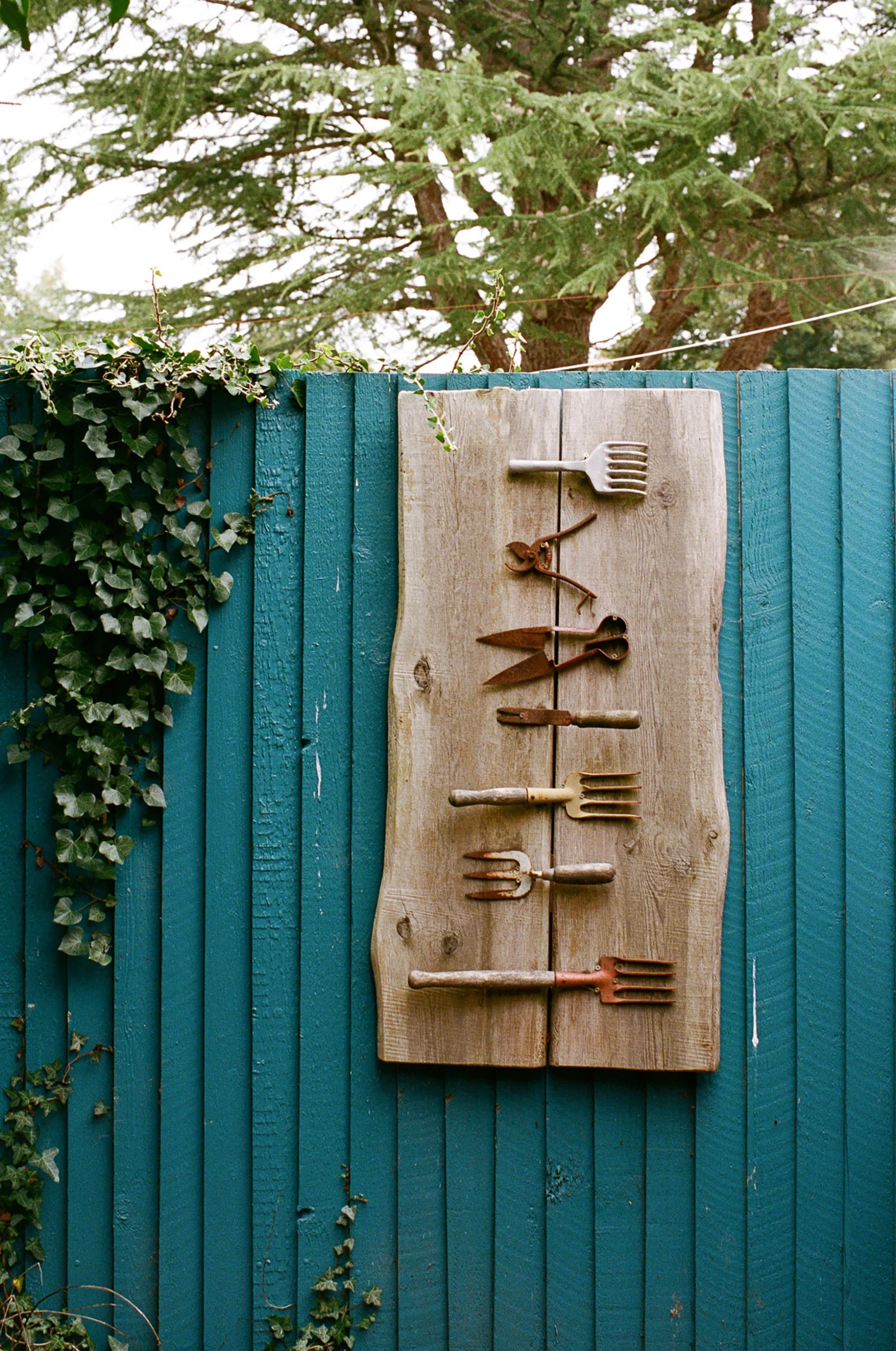 Hawarden Estate X Blumenhaus - Aniella Photography - 28-10-25 film selects-25.jpg