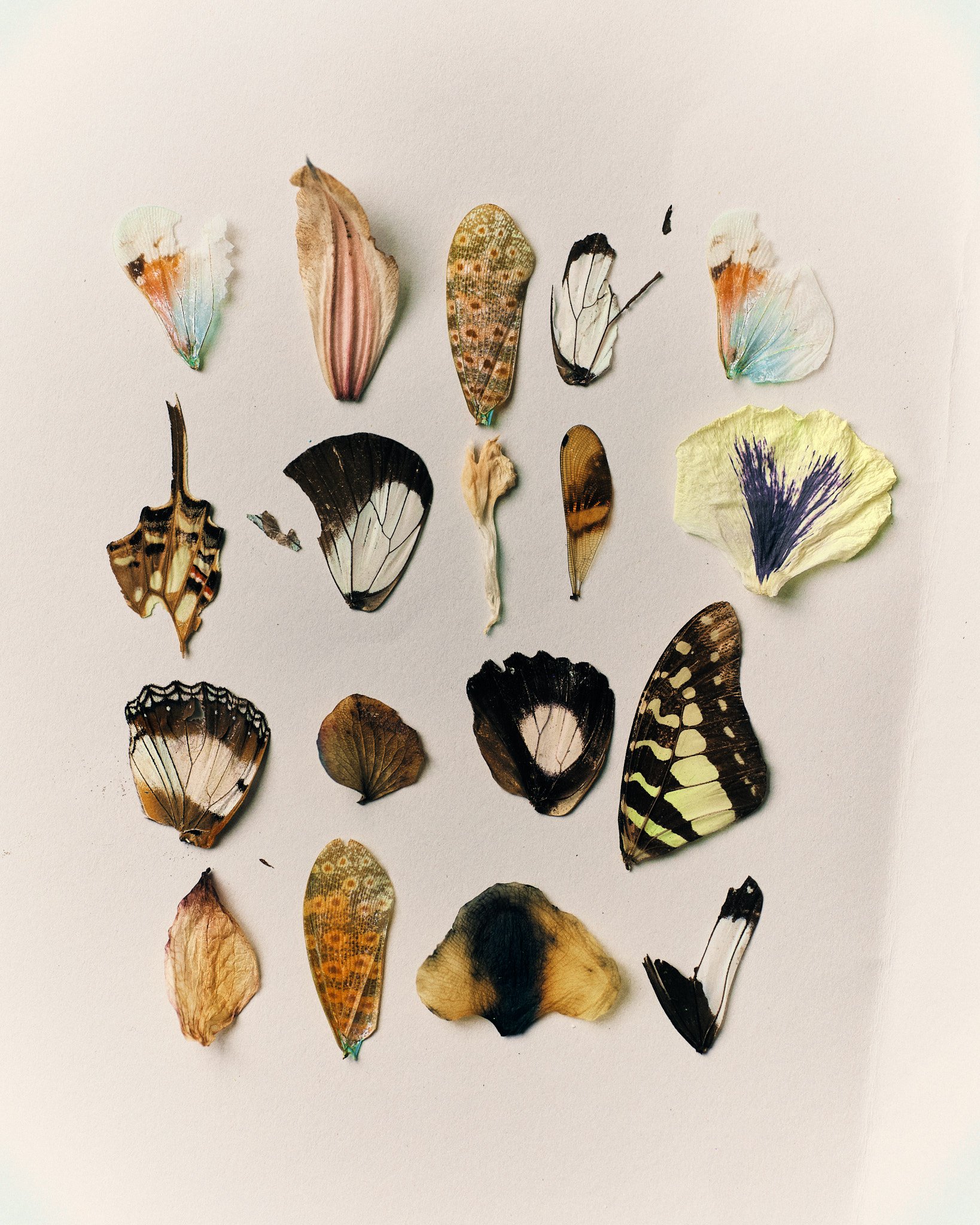 Fragility &amp; Imperfections