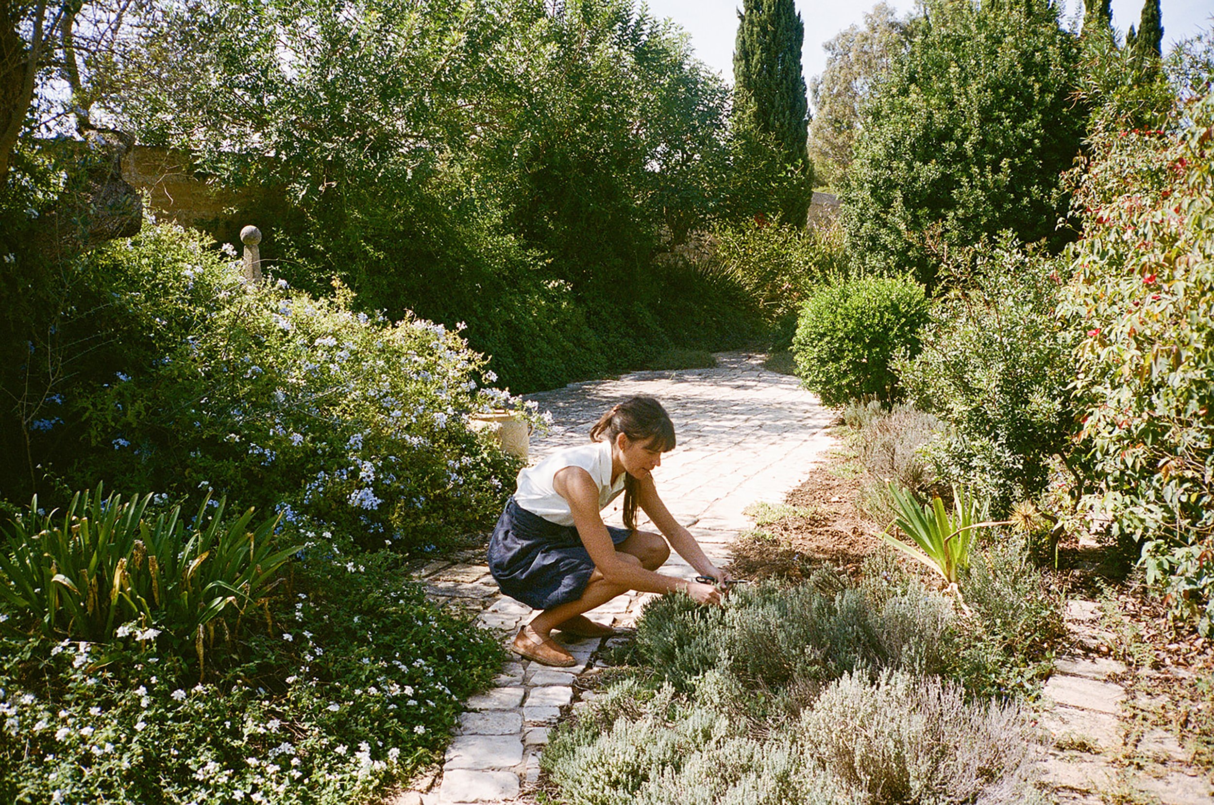 A Conversation with Lina