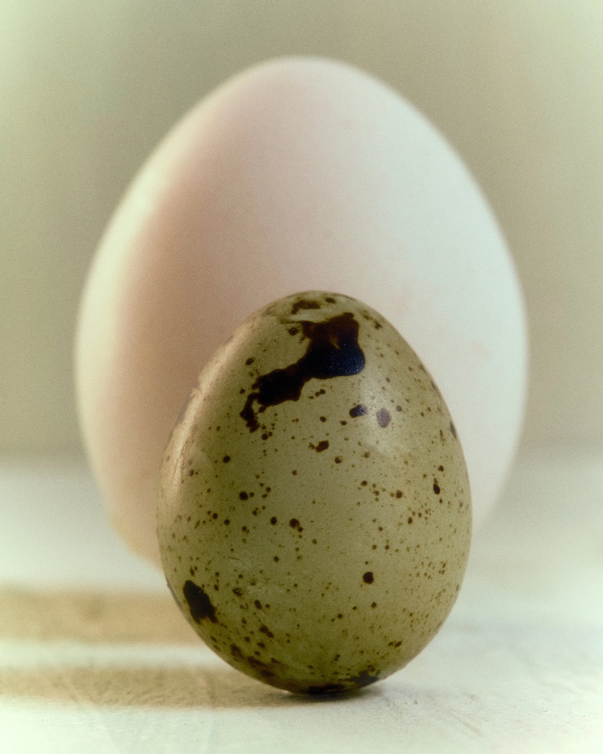 Easter_Andrea_Brandt 10.jpg