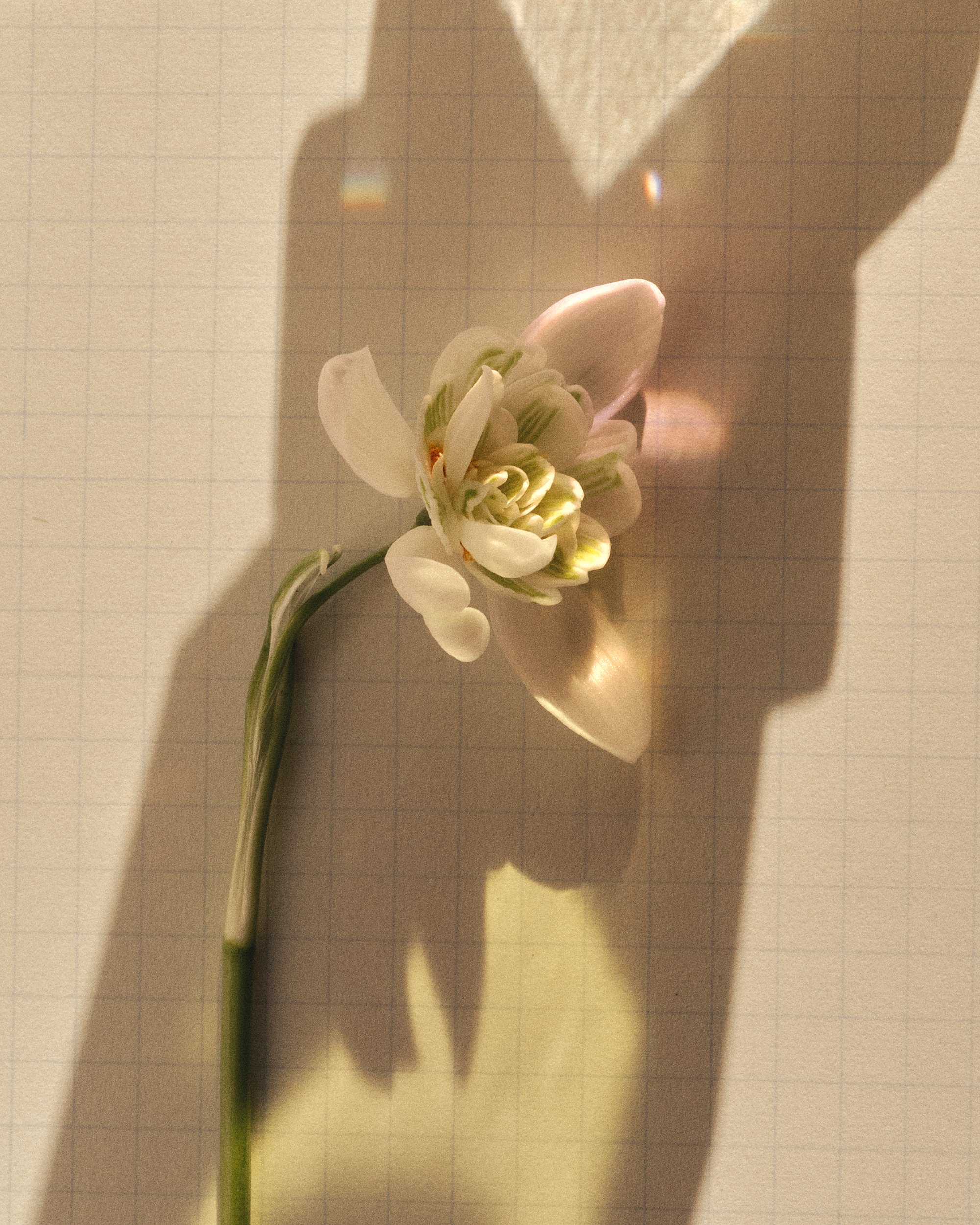 Easter_Andrea_Brandt 1.jpg