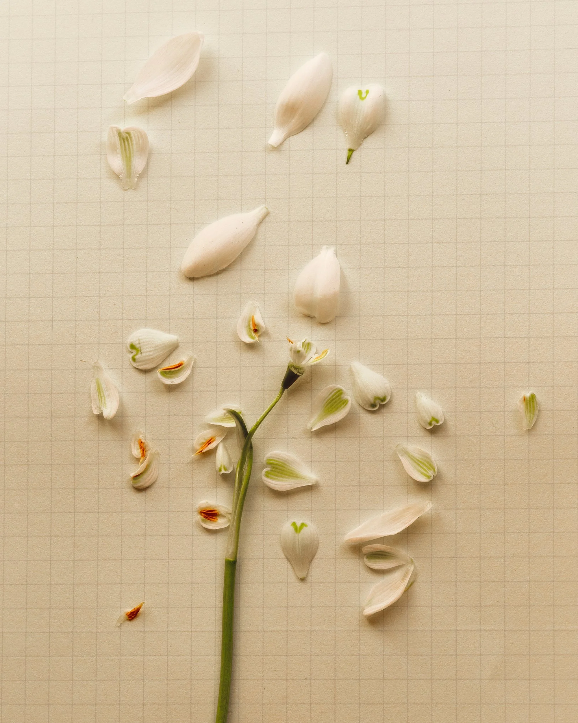 Easter_Andrea_Brandt 2.jpg