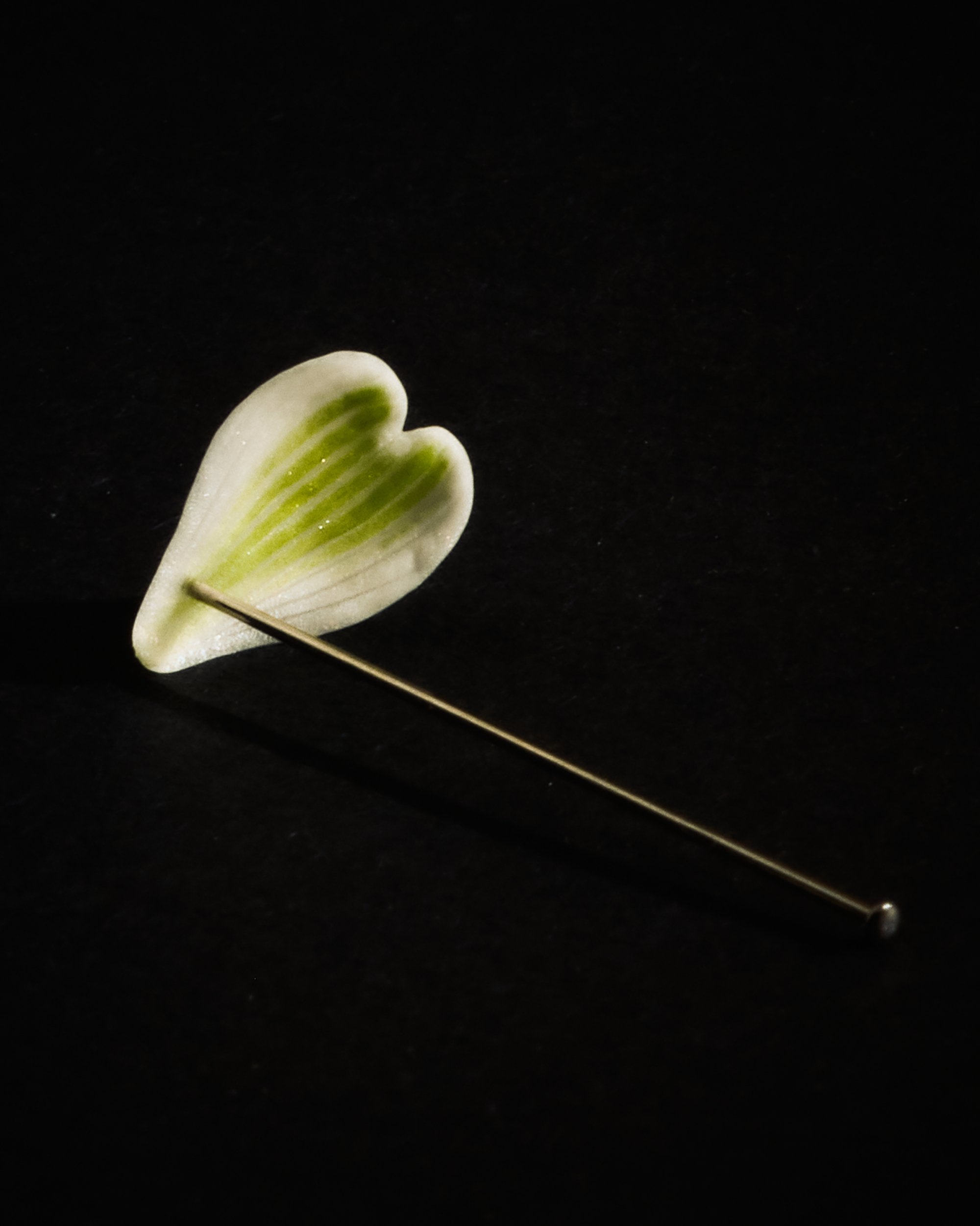 Easter_Andrea_Brandt 3.jpg