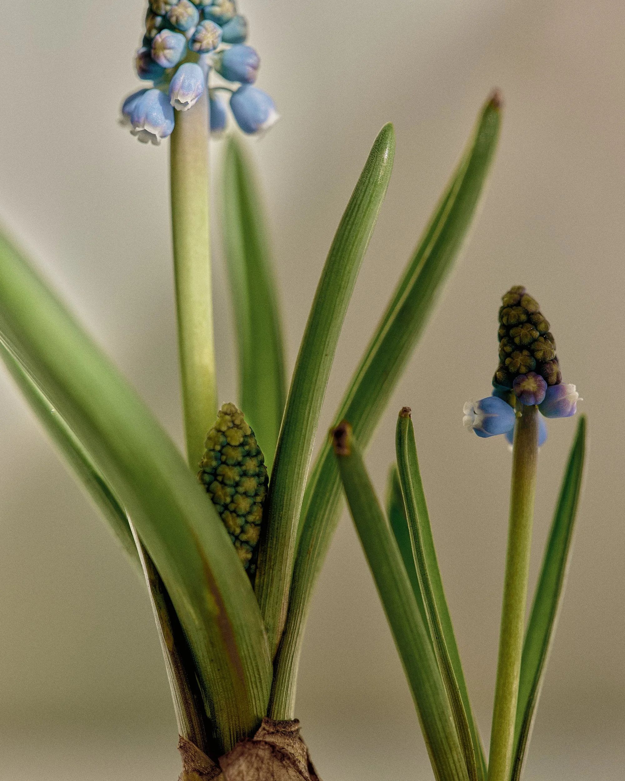 Easter_Andrea_Brandt 11.jpg