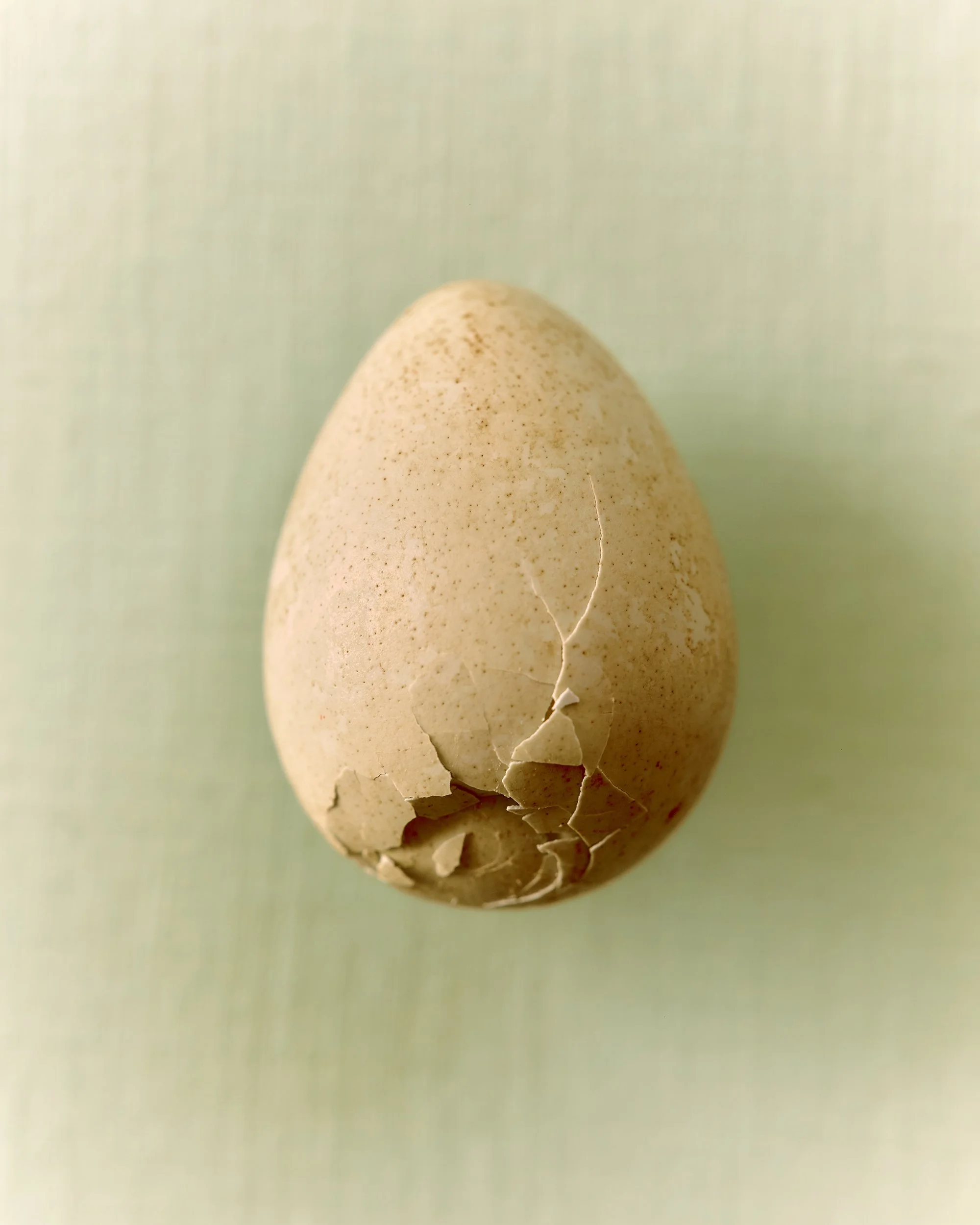 Easter_Andrea_Brandt 12.jpg