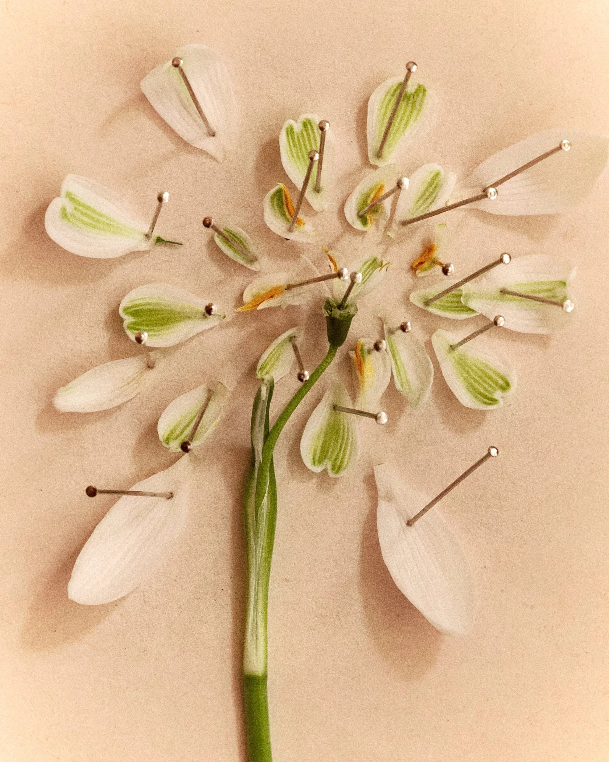 Easter_Andrea_Brandt 4.jpg