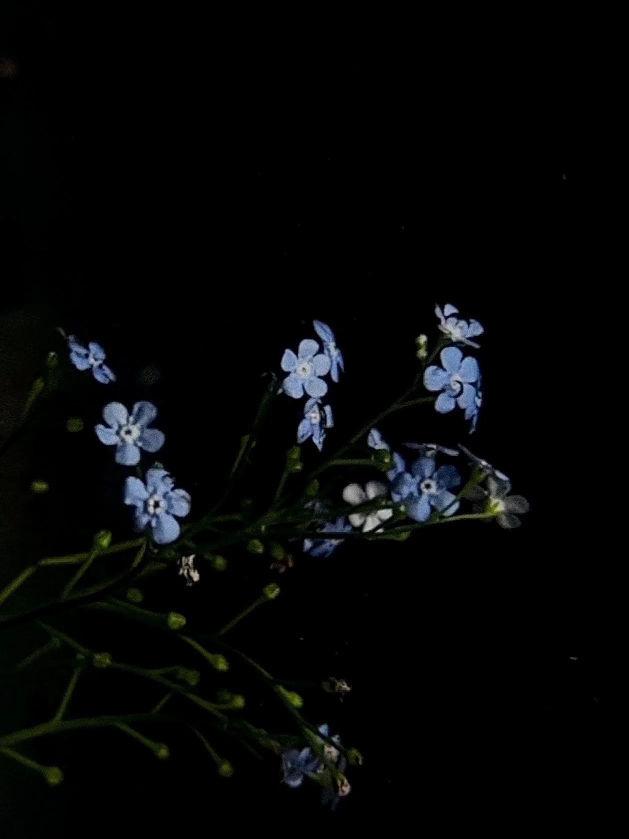 Entre deux eaux