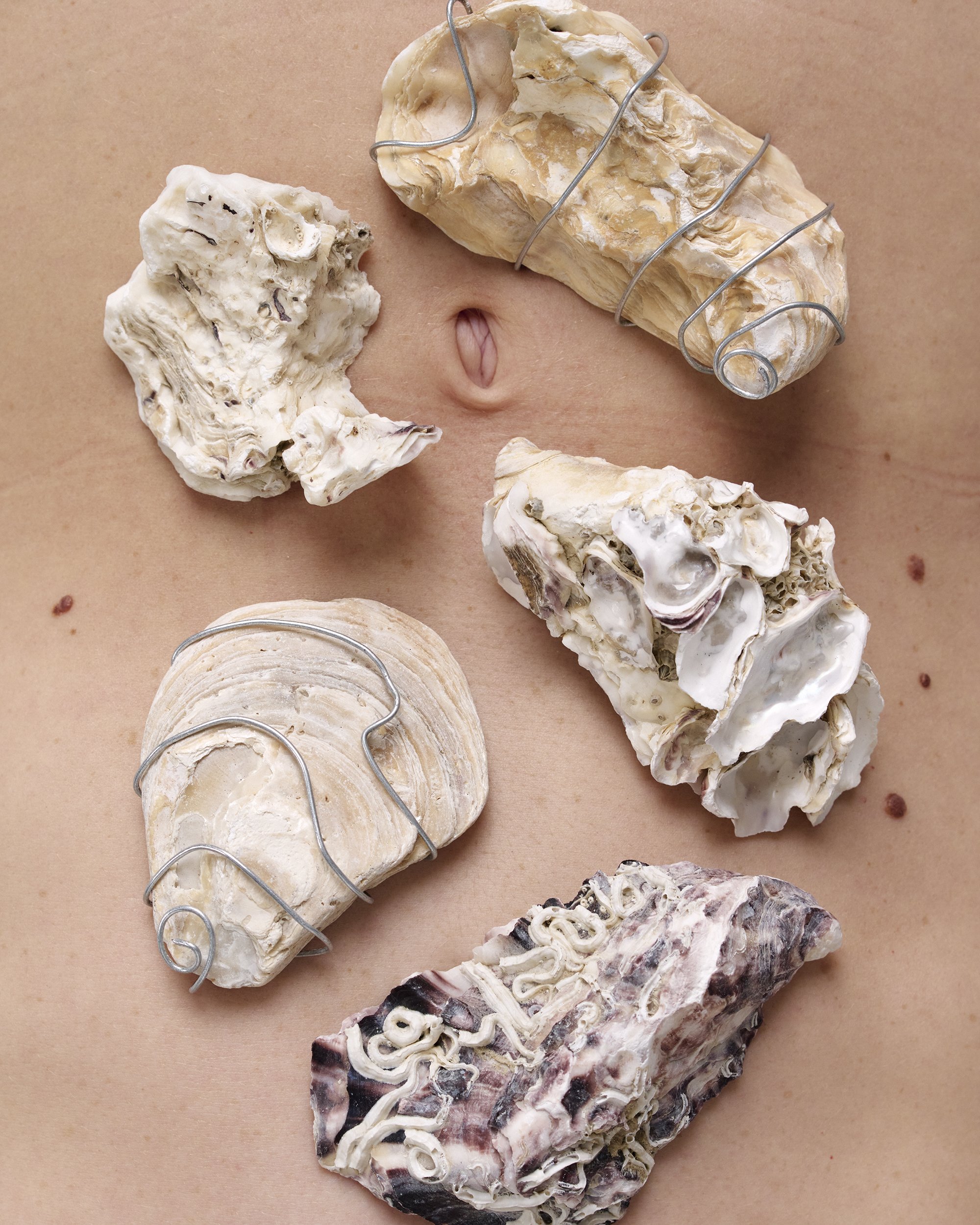 26005_110_028_Final_cropped copie.jpg