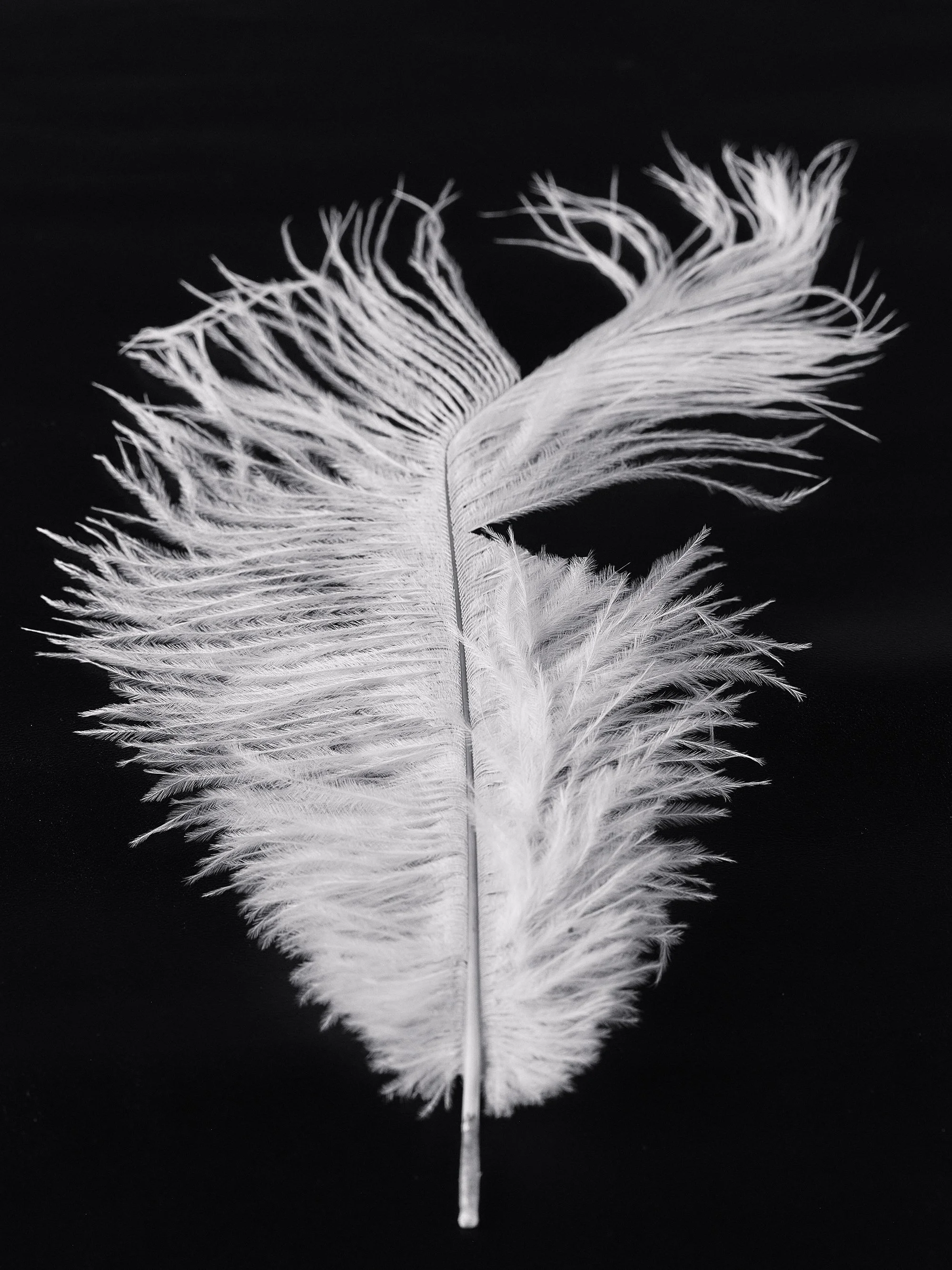 26005_120_009_Final_cropped copie.jpg