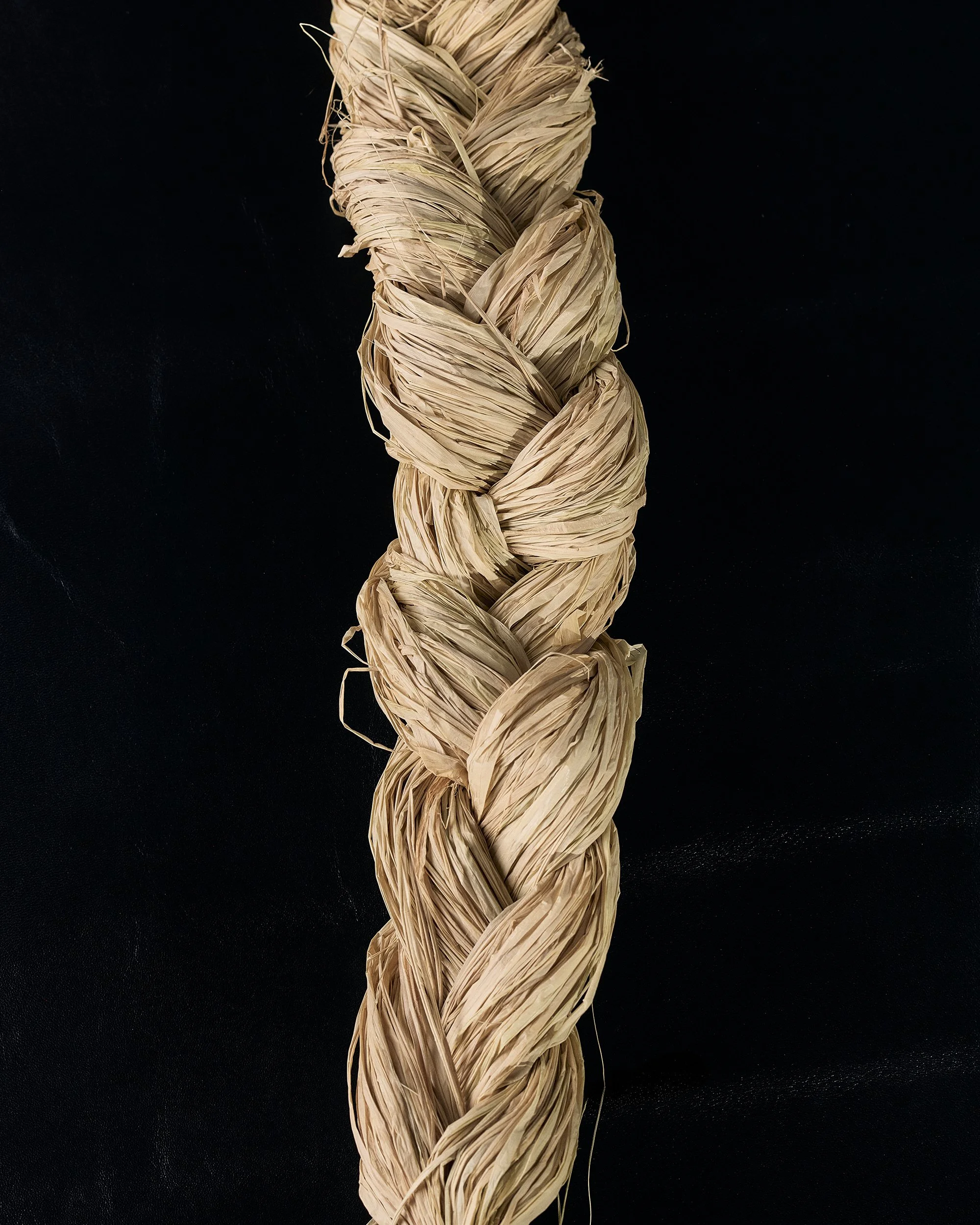 26005_120_046_Final copie.jpg