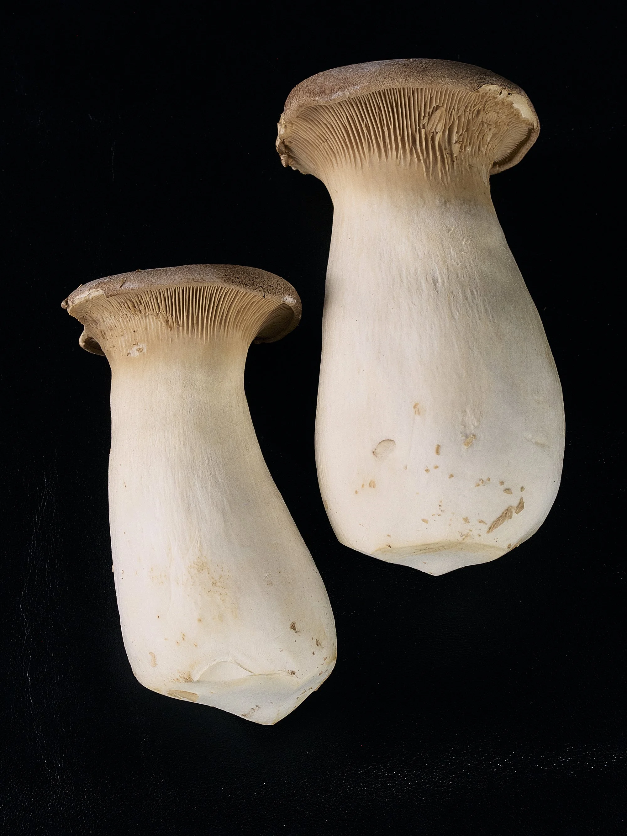 26005_120_053_Final_cropped copie.jpg