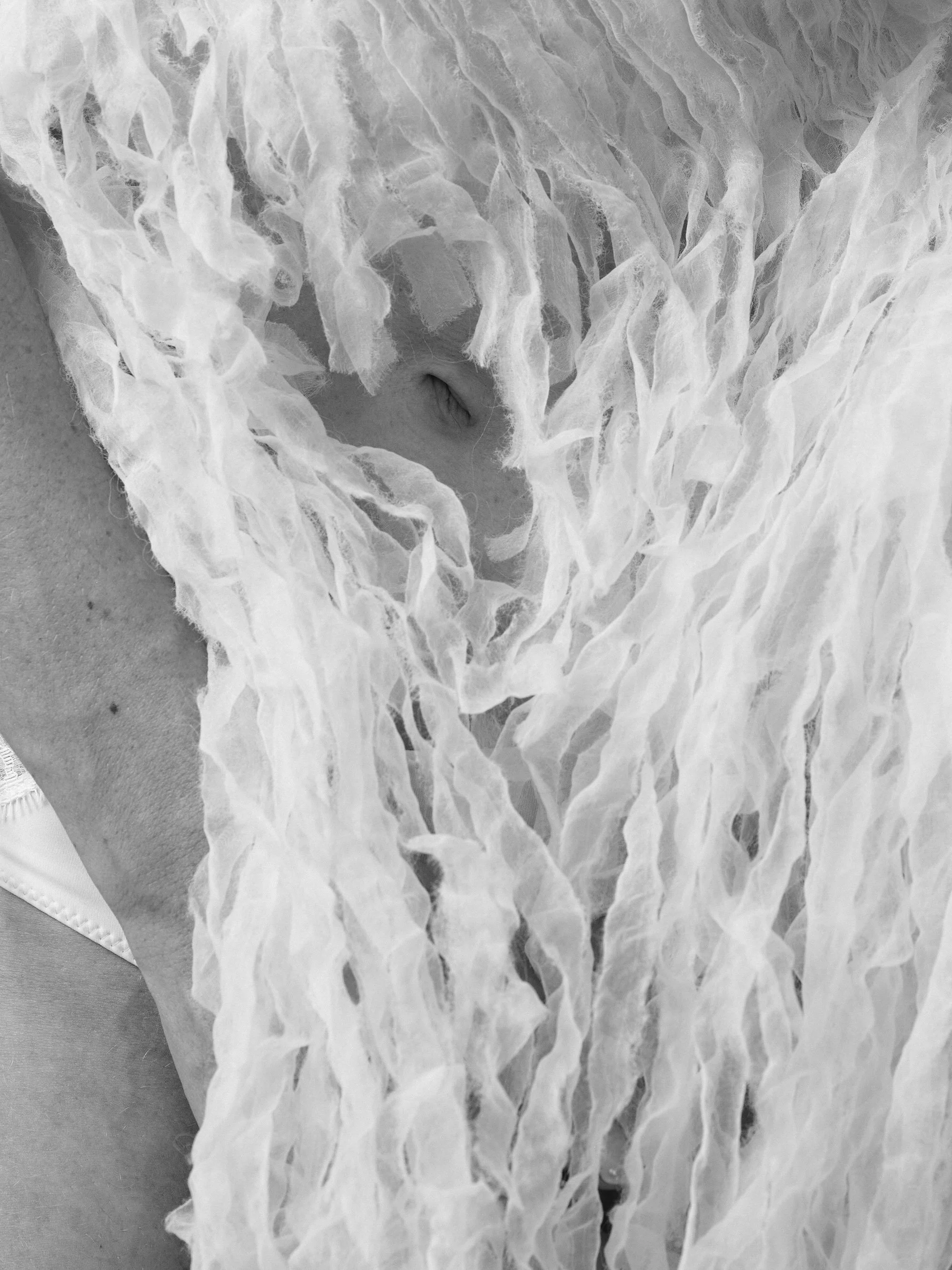 26005_010_281_Final_V2_cropped.jpg