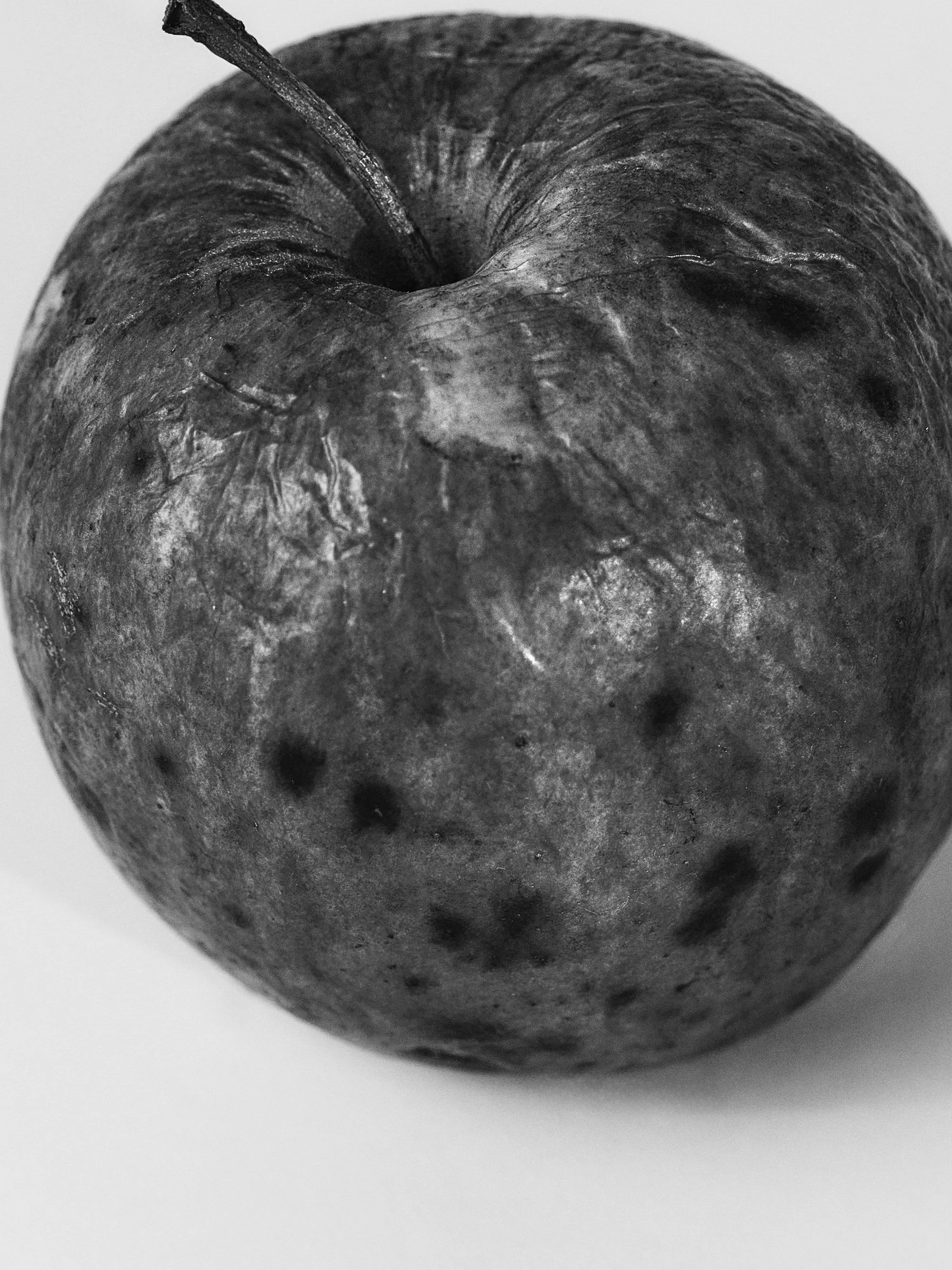 26005_040_060_Final_V2_cropped.jpg