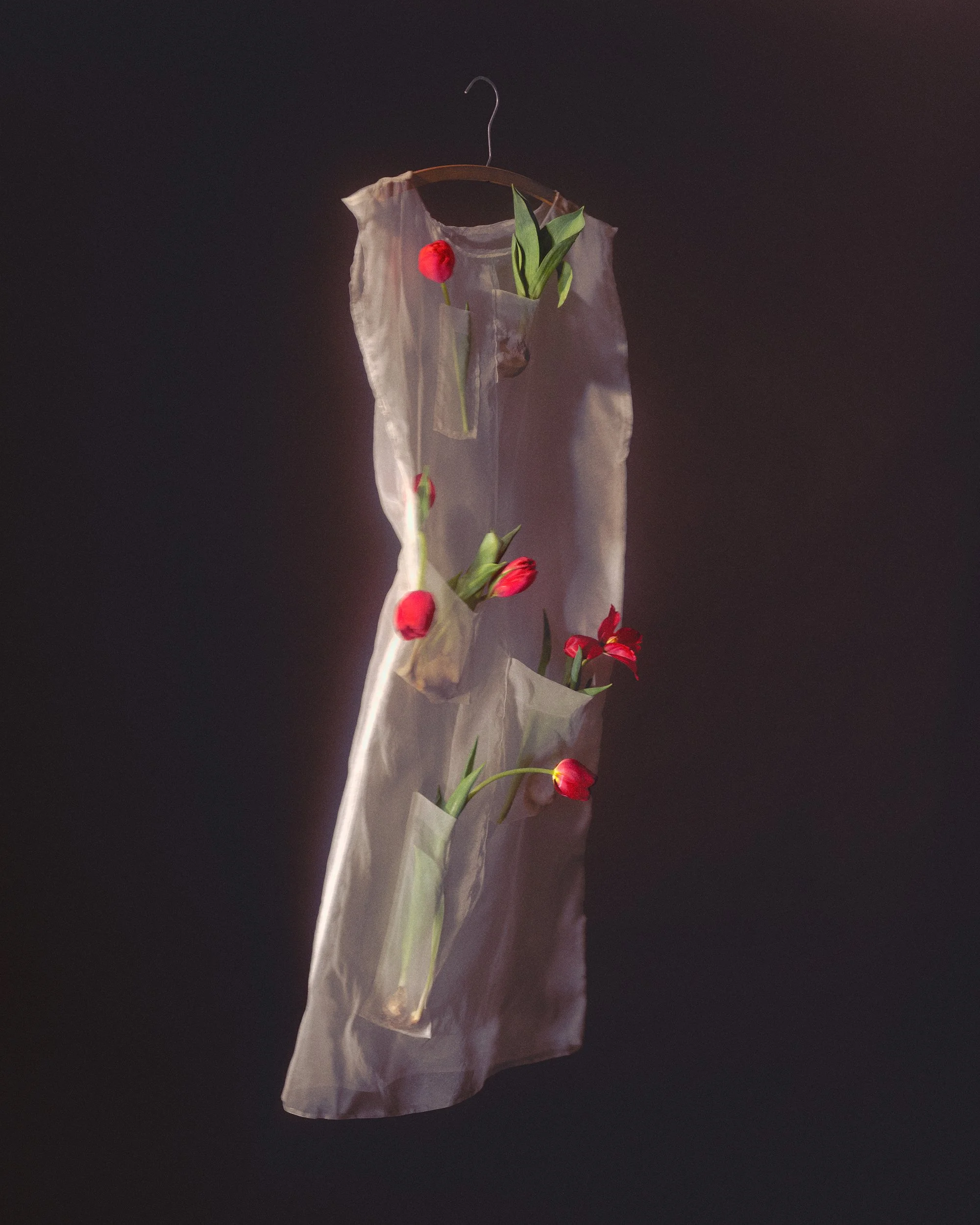 2_If-Flowers-Could-Dress-Themselves_HannahRosaLewis-Lopes.jpg