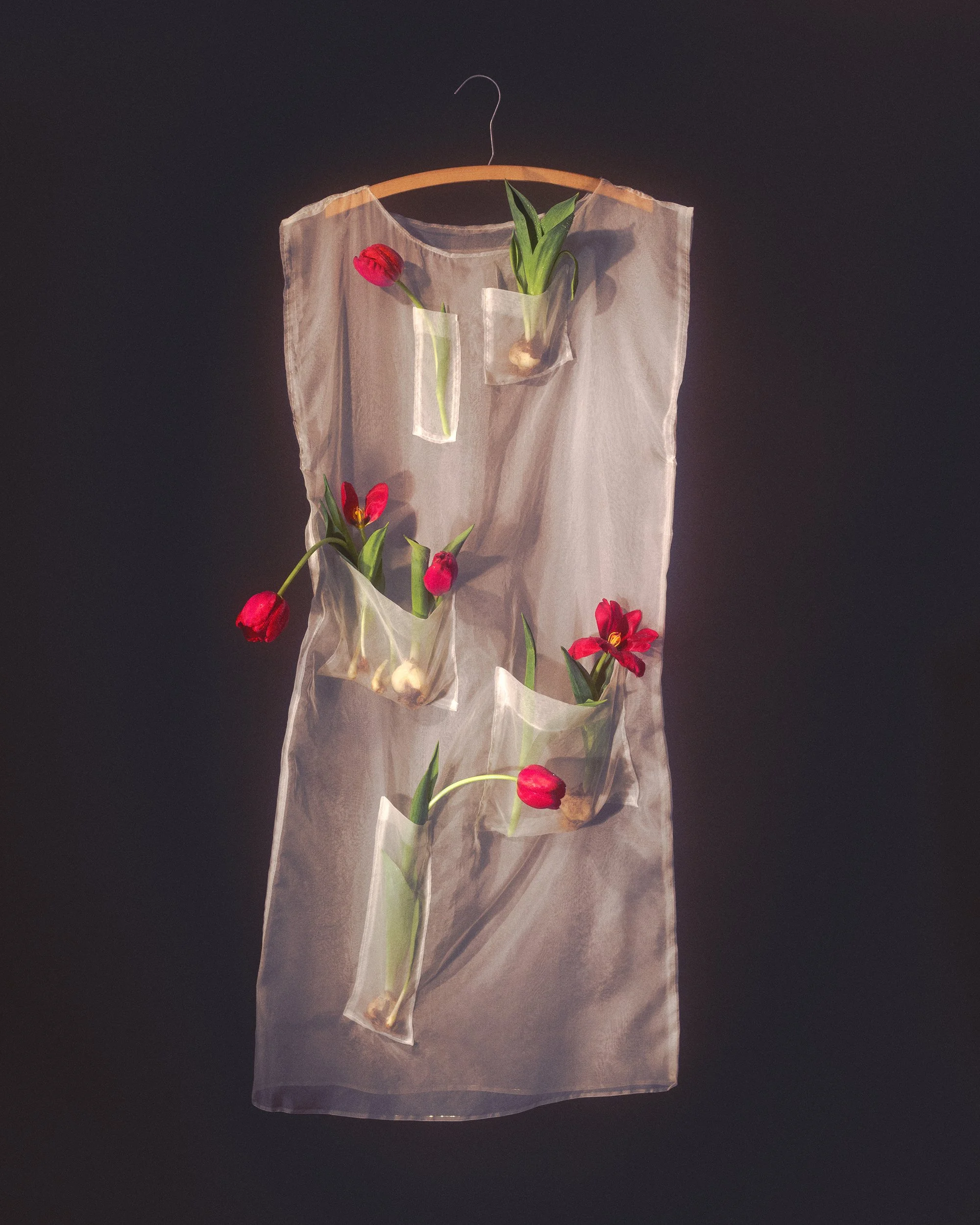 1_If-Flowers-Could-Dress-Themselves_HannahRosaLewis-Lopes.jpg