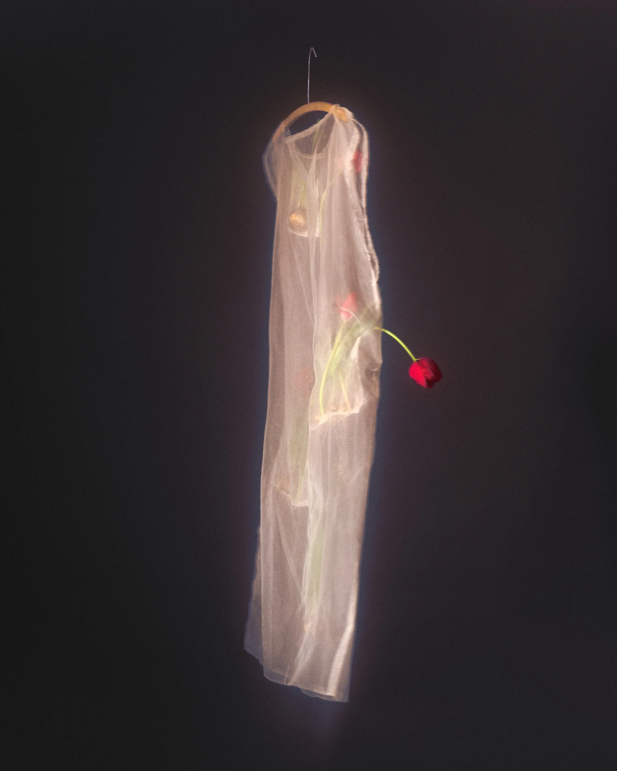 5_If-Flowers-Could-Dress-Themselves_HannahRosaLewis-Lopes.jpg