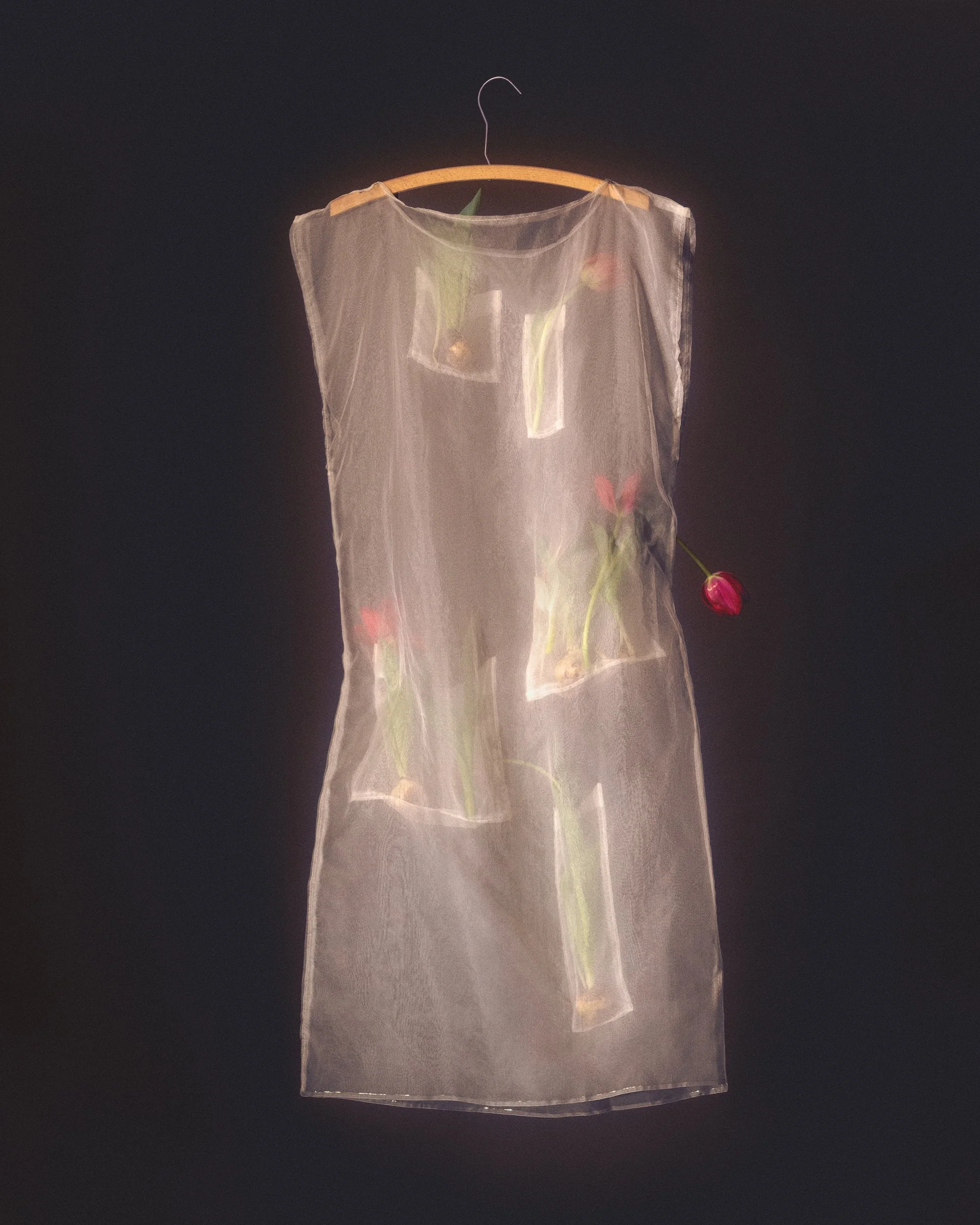 6_If-Flowers-Could-Dress-Themselves_HannahRosaLewis-Lopes.jpg