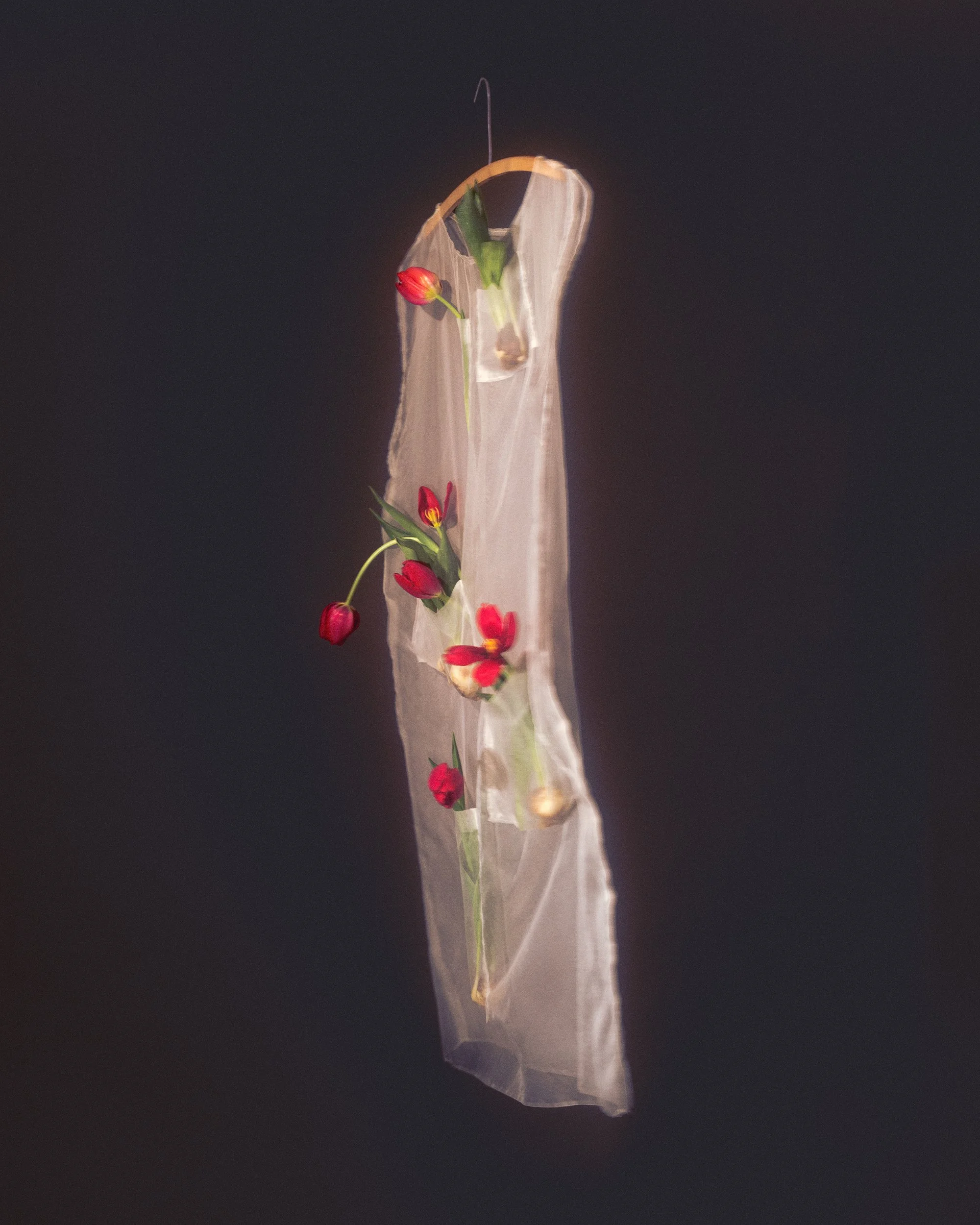 10_If-Flowers-Could-Dress-Themselves_HannahRosaLewis-Lopes.jpg