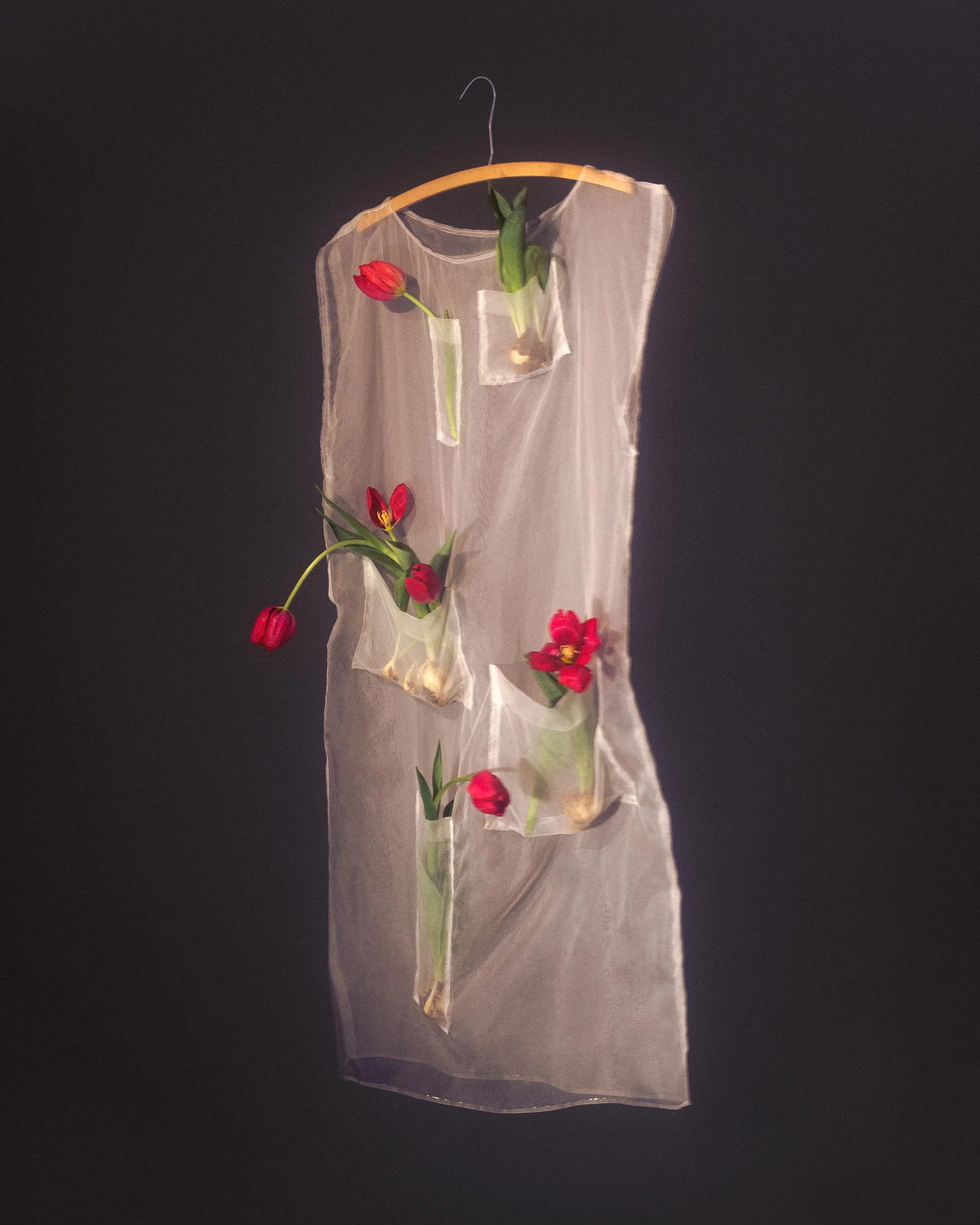 11_If-Flowers-Could-Dress-Themselves_HannahRosaLewis-Lopes.jpg