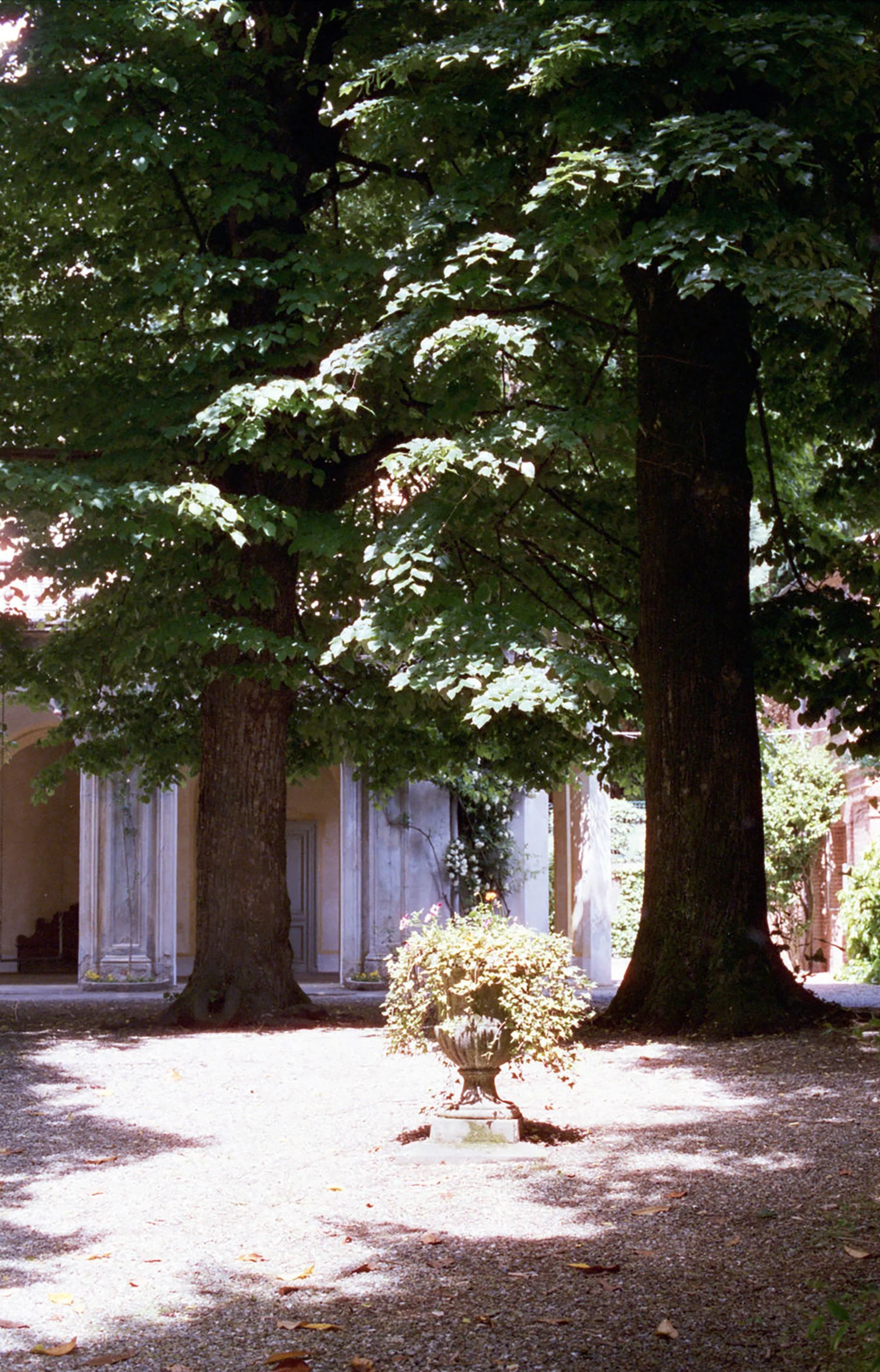 006_VillaMalfatti-FolliadelleRose%28Film%29.png