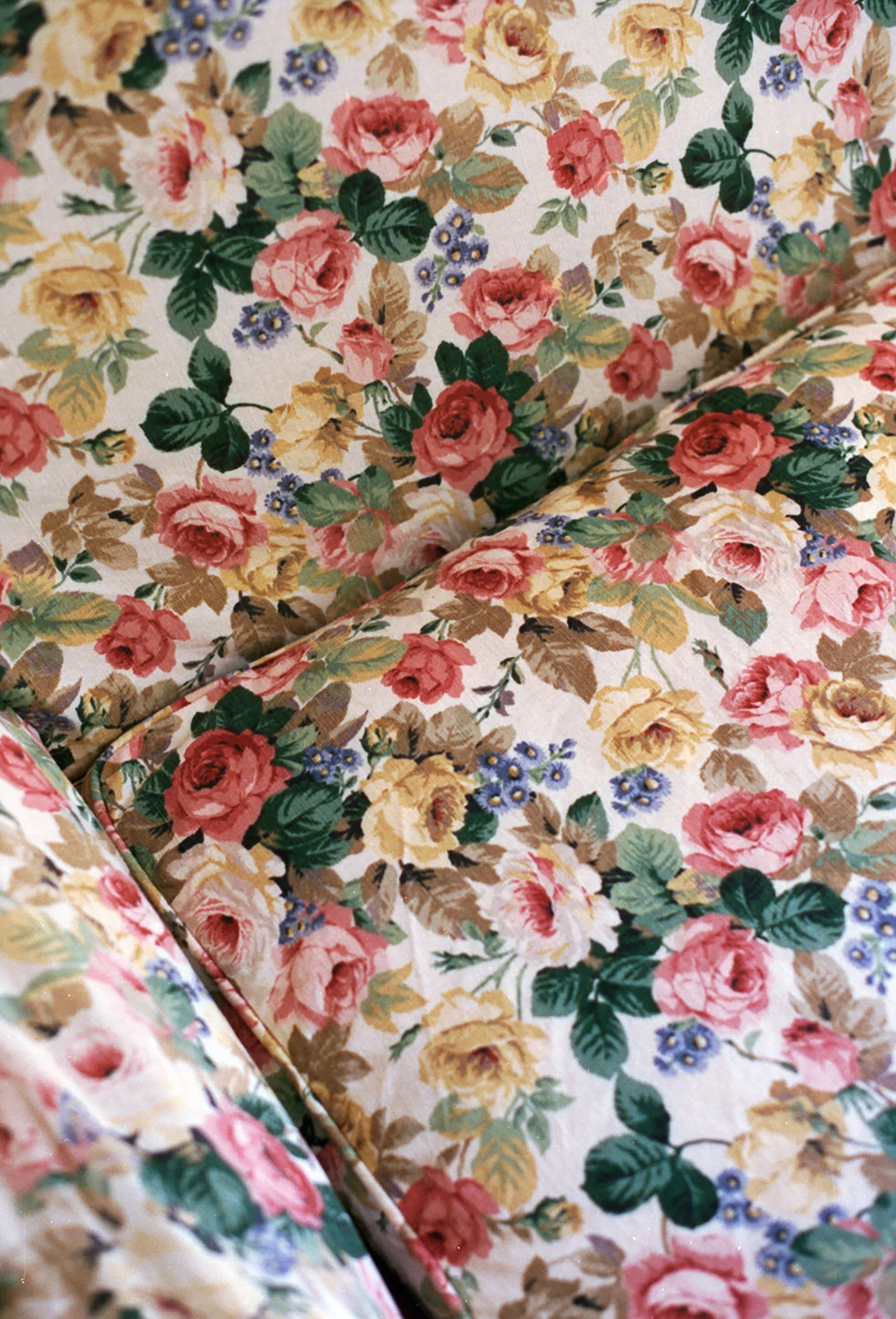 002_VillaMalfatti-FolliadelleRose%28Film%29.png