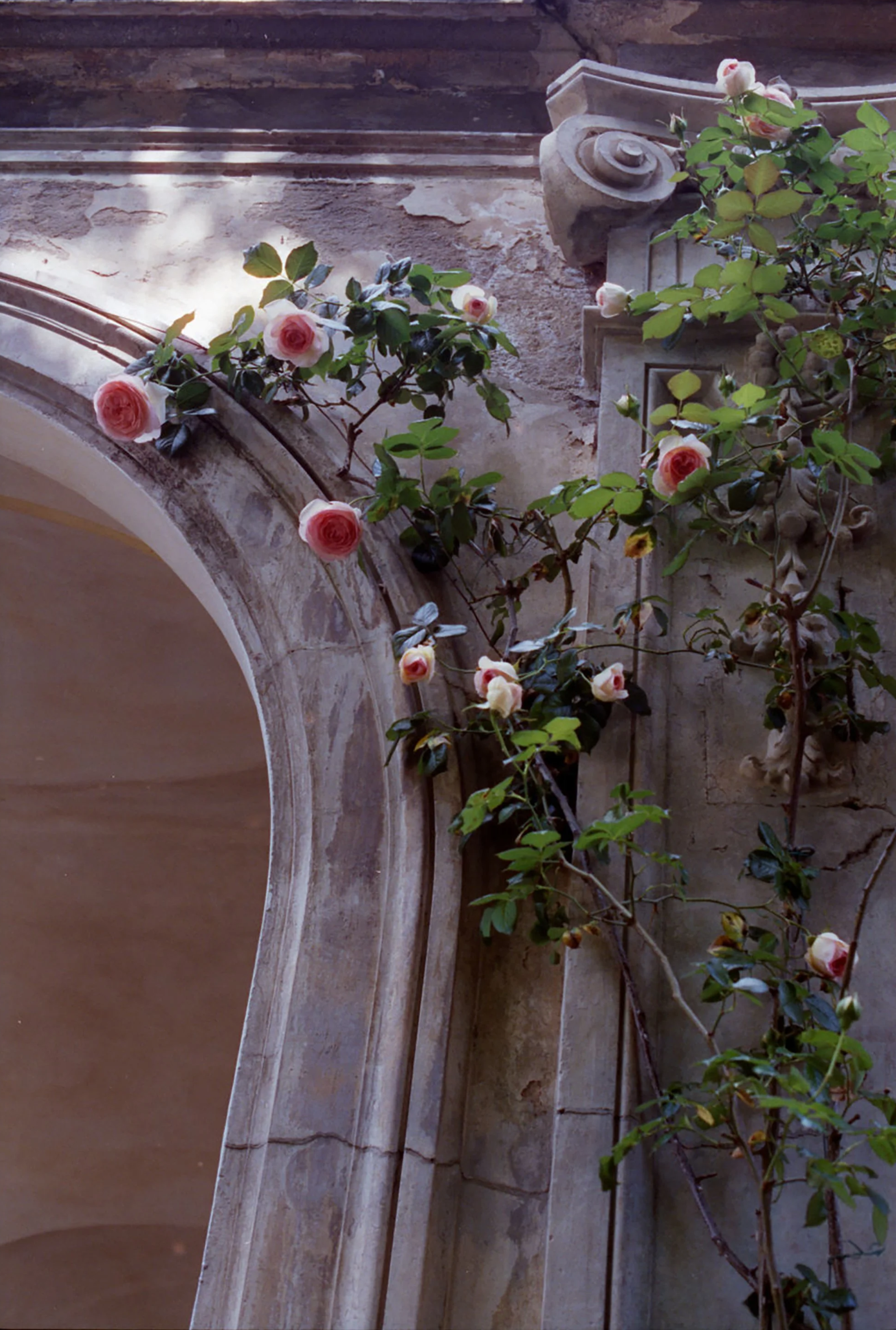 007_VillaMalfatti-FolliadelleRose%2528Film%2529.png