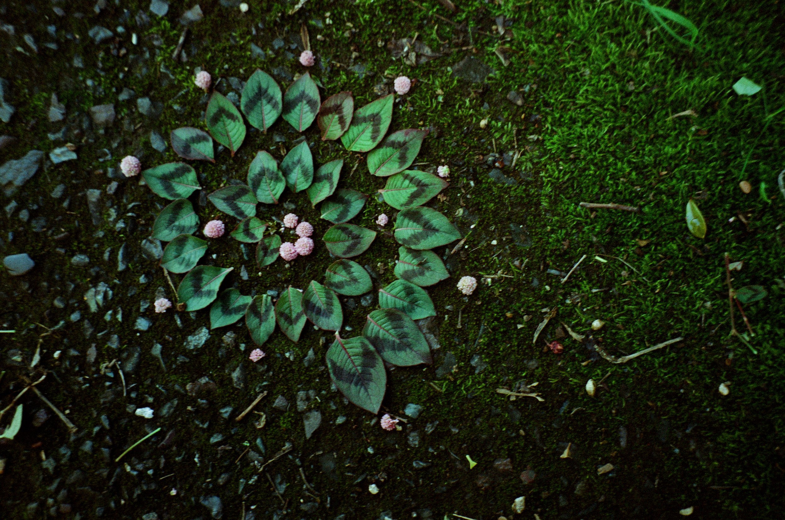 At The Threshold