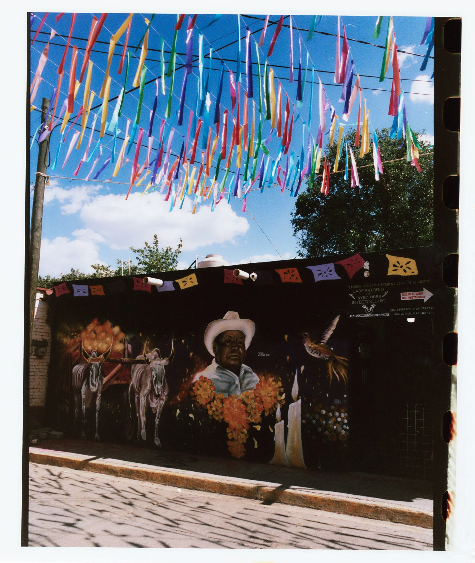 OAXACA (13) 1.jpg