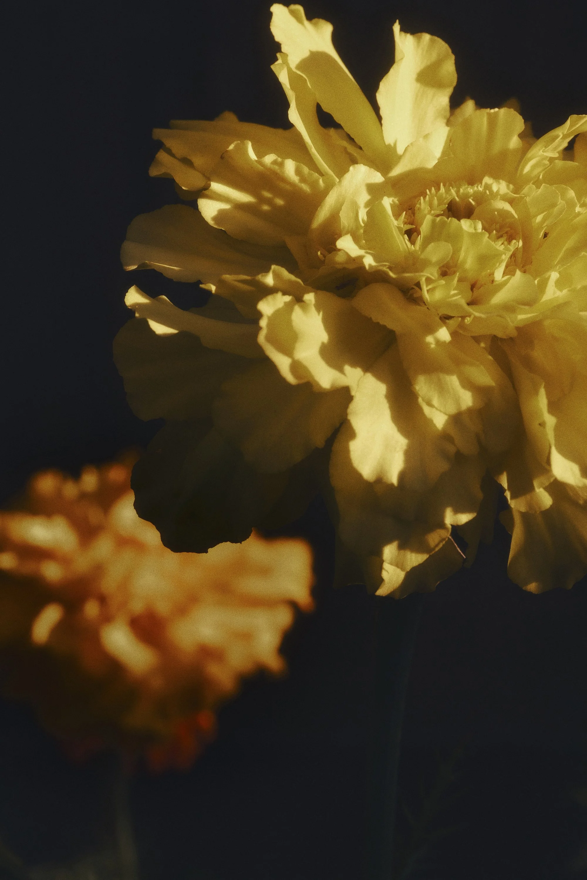 test93-2195.jpg