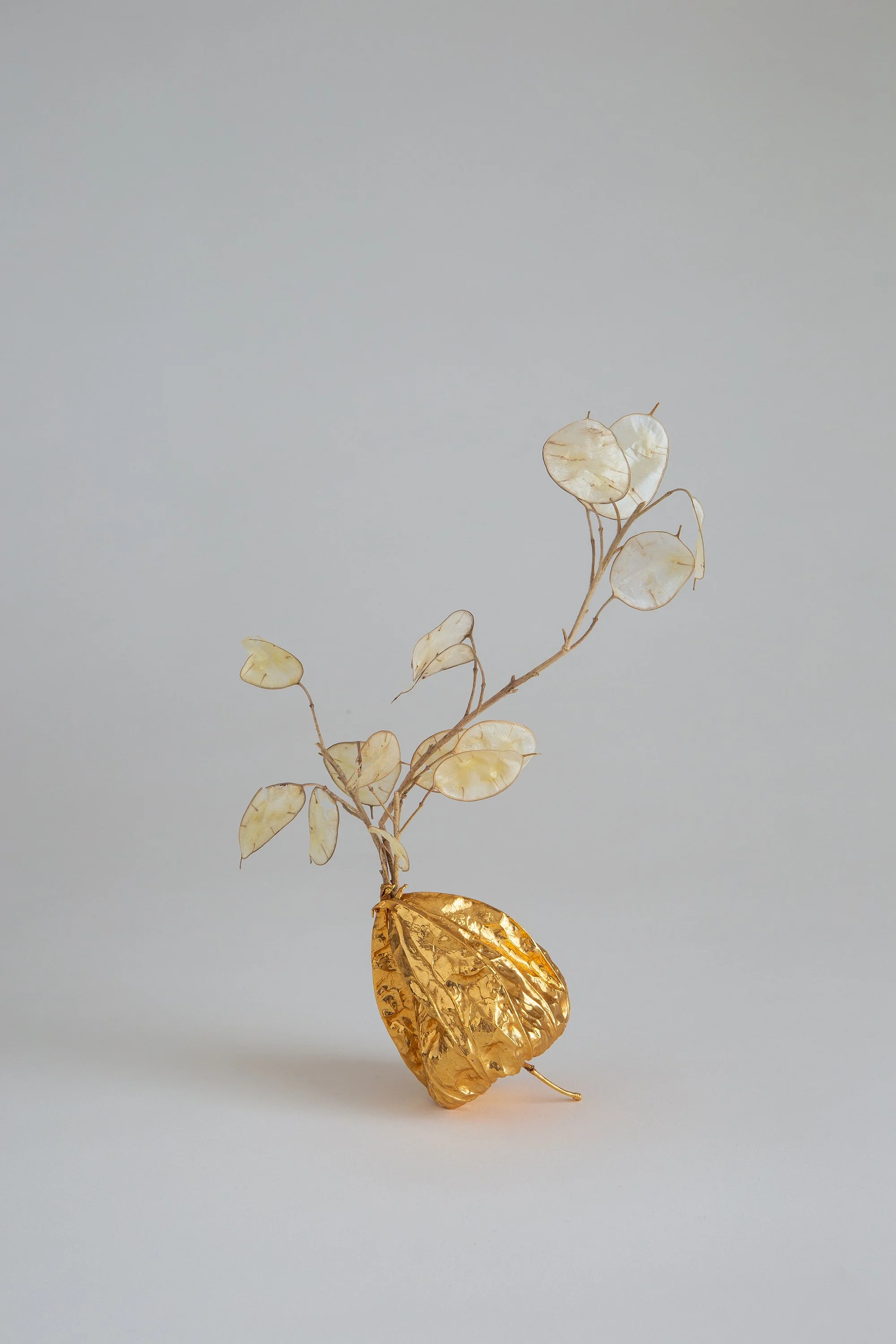 My life in Flowers - Nature Couture.jpg