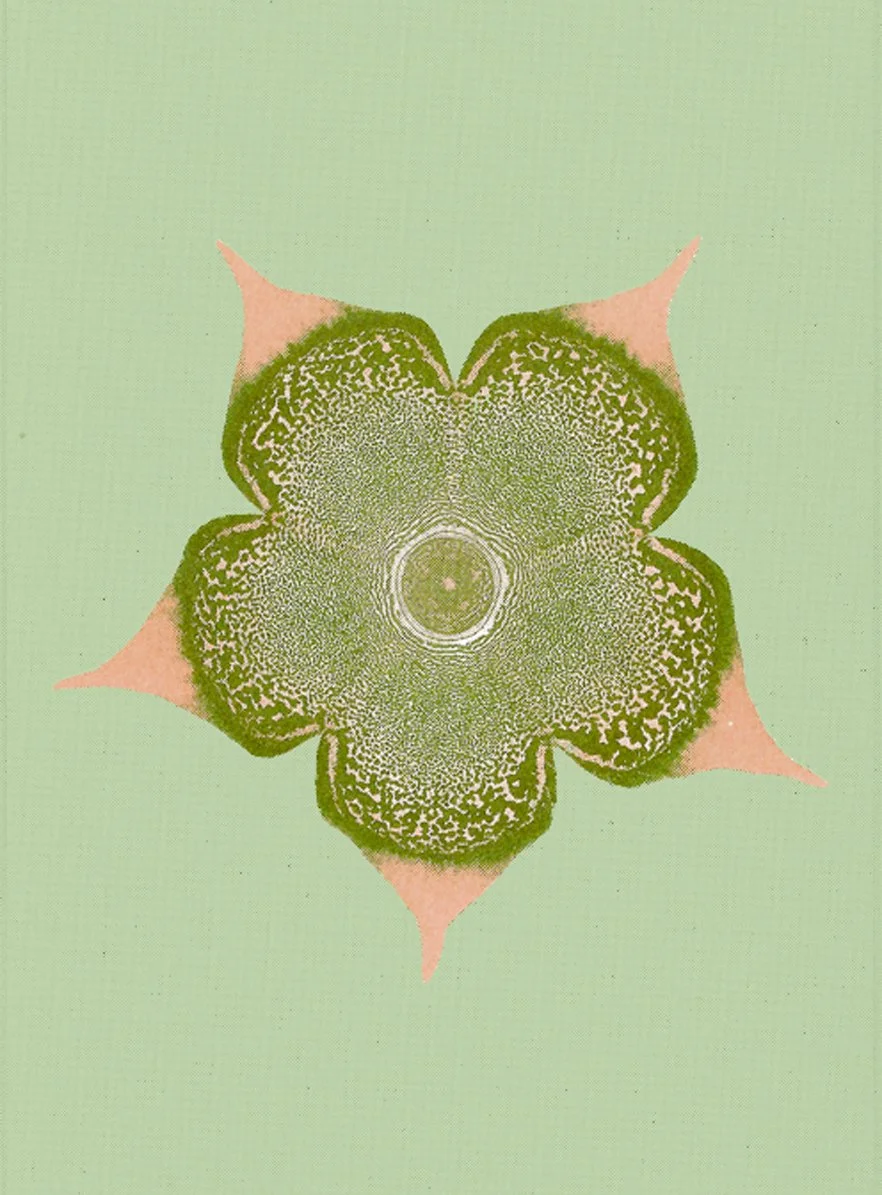 bienvenue-studios_small-print-collection_ephemeral-blooming_3.jpg
