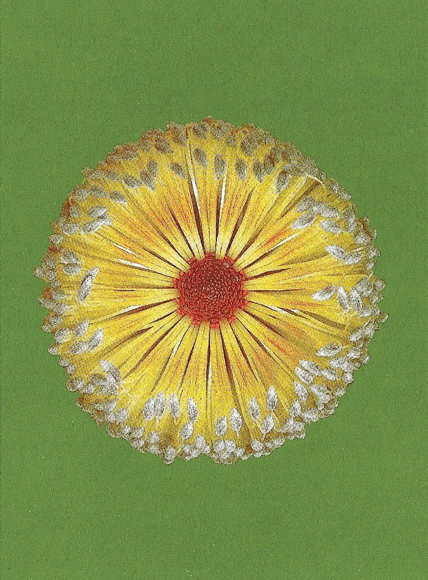 bienvenue-studios_small-print-collection_fire-flowers_2.jpg