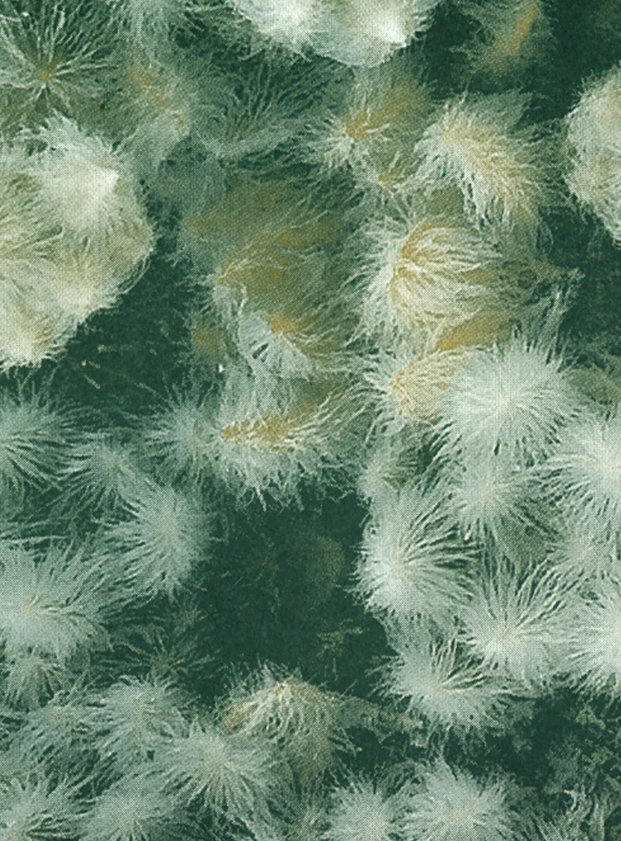 bienvenue-studios_small-print-collection_quiet-water_4.jpg