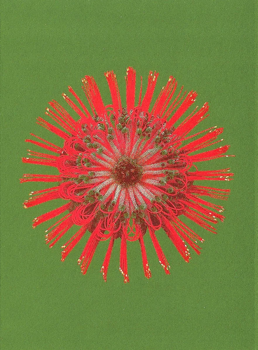 bienvenue-studios_small-print-collection_fire-flowers_1.jpg