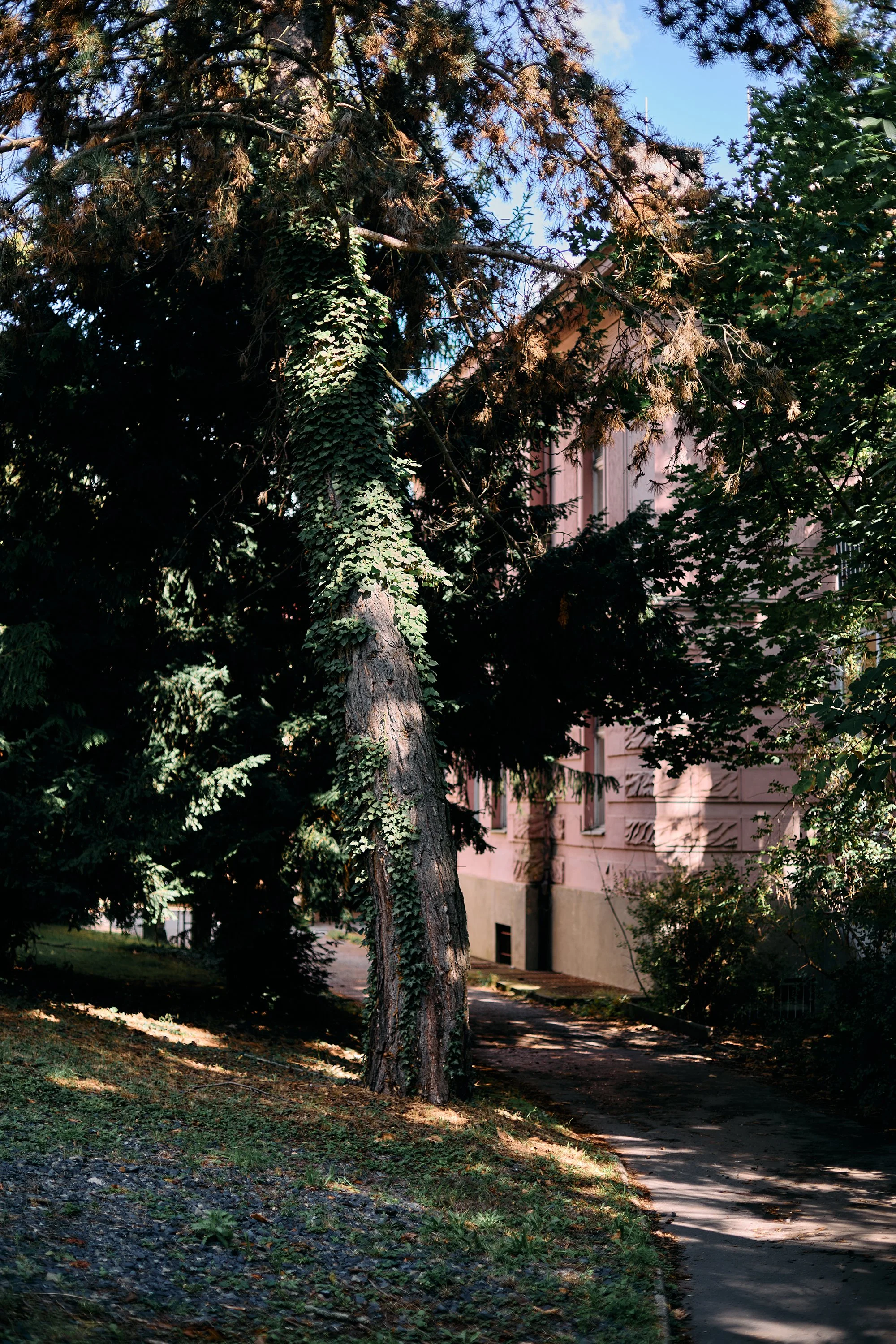 Tusculum 23.jpg