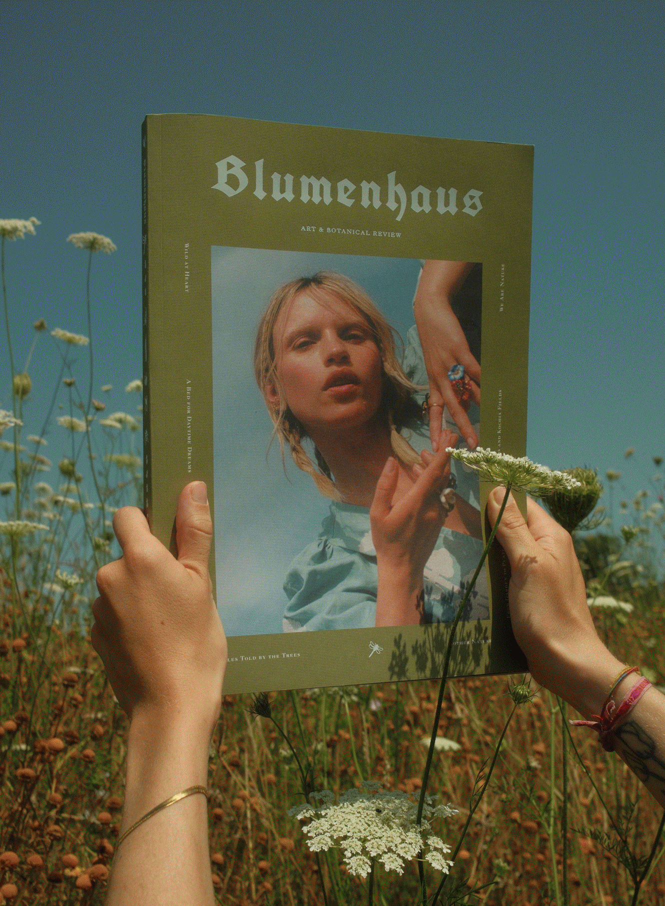 issue5-blumenhaus-pictures.gif