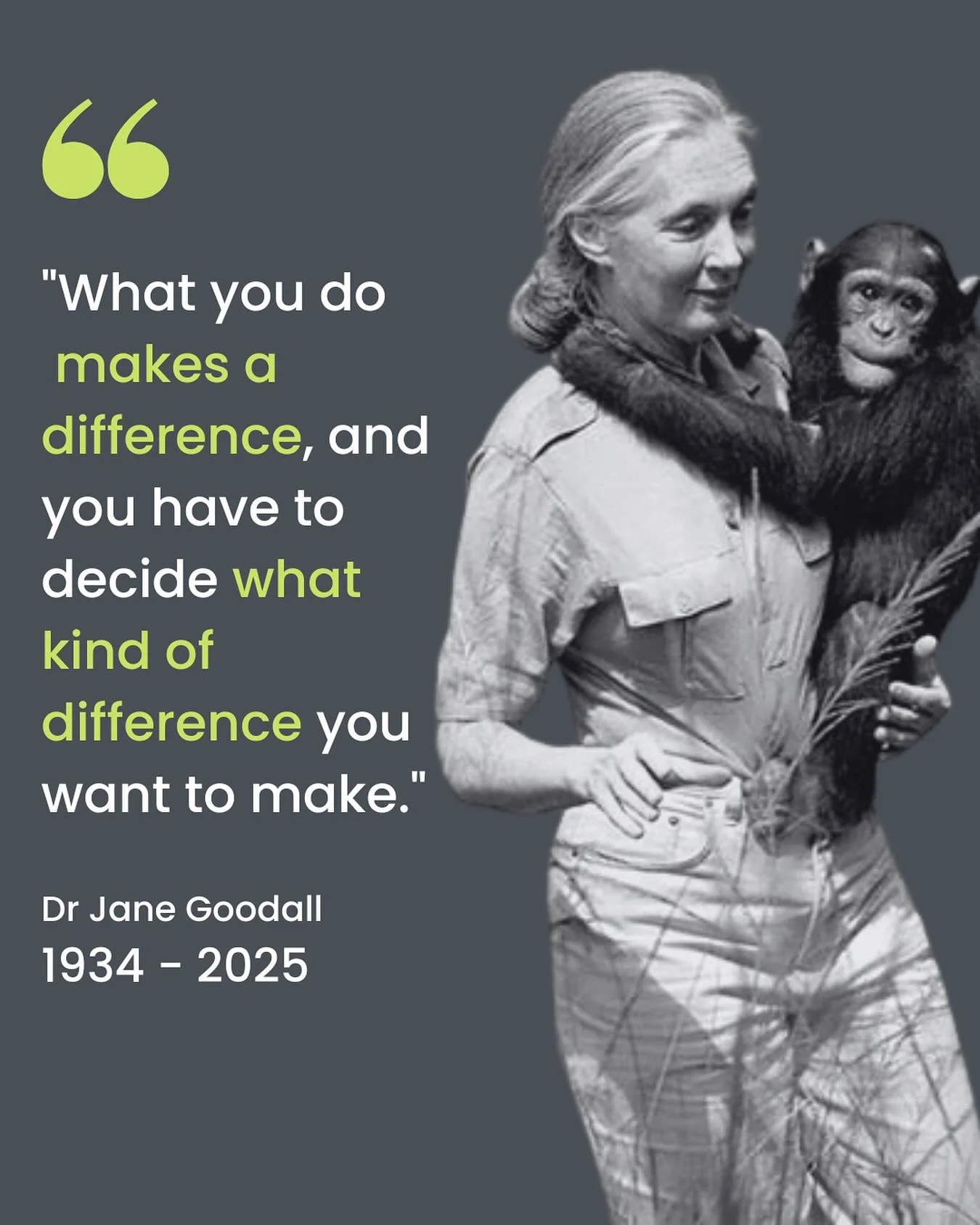 Jane Goodall did more than transform our understanding of the natural world. At a time when women were rarely granted the space to lead scientific discovery, she broke down barriers simply by doing the work &ndash; living alone in the Tanzanian wild,