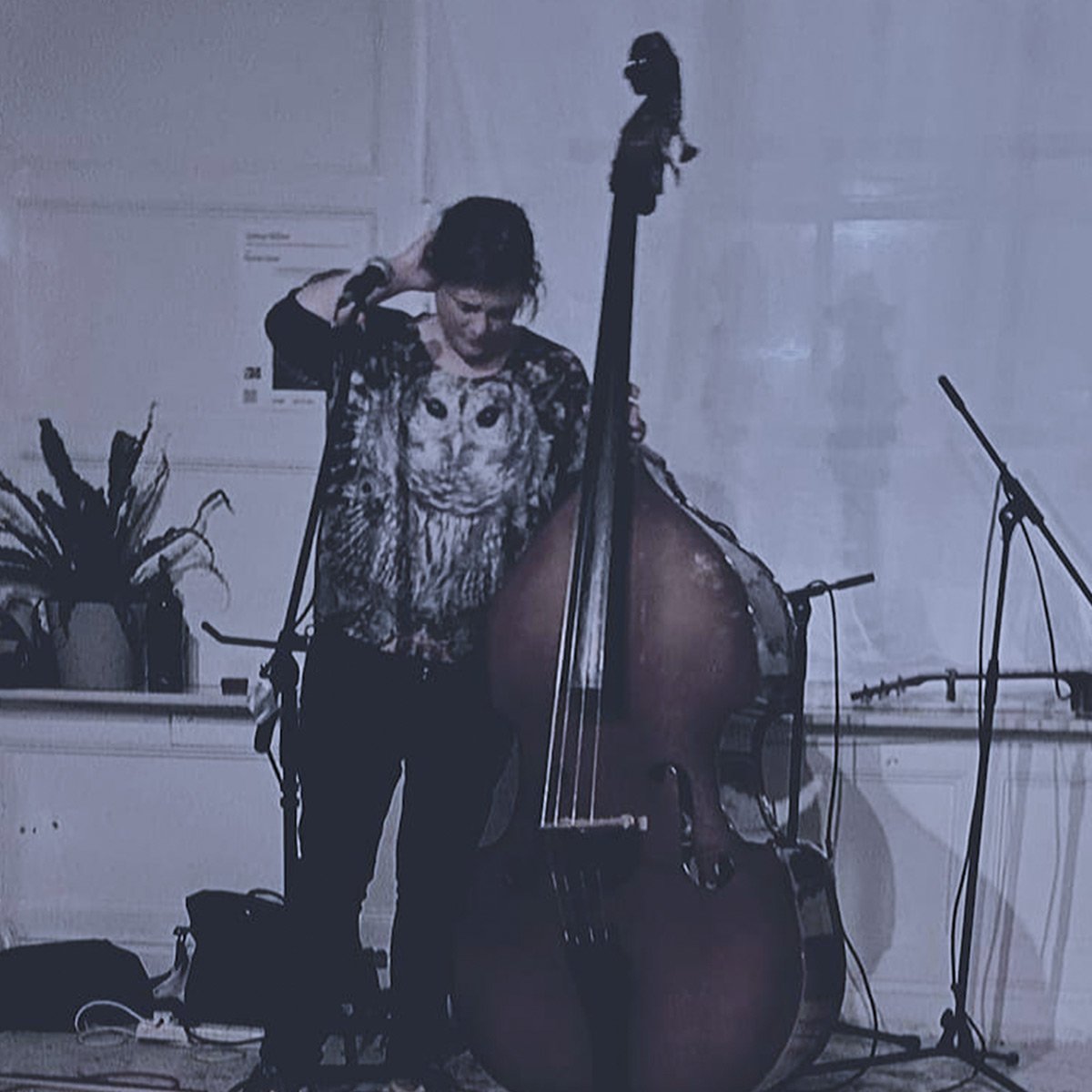 Roslyn Steer
