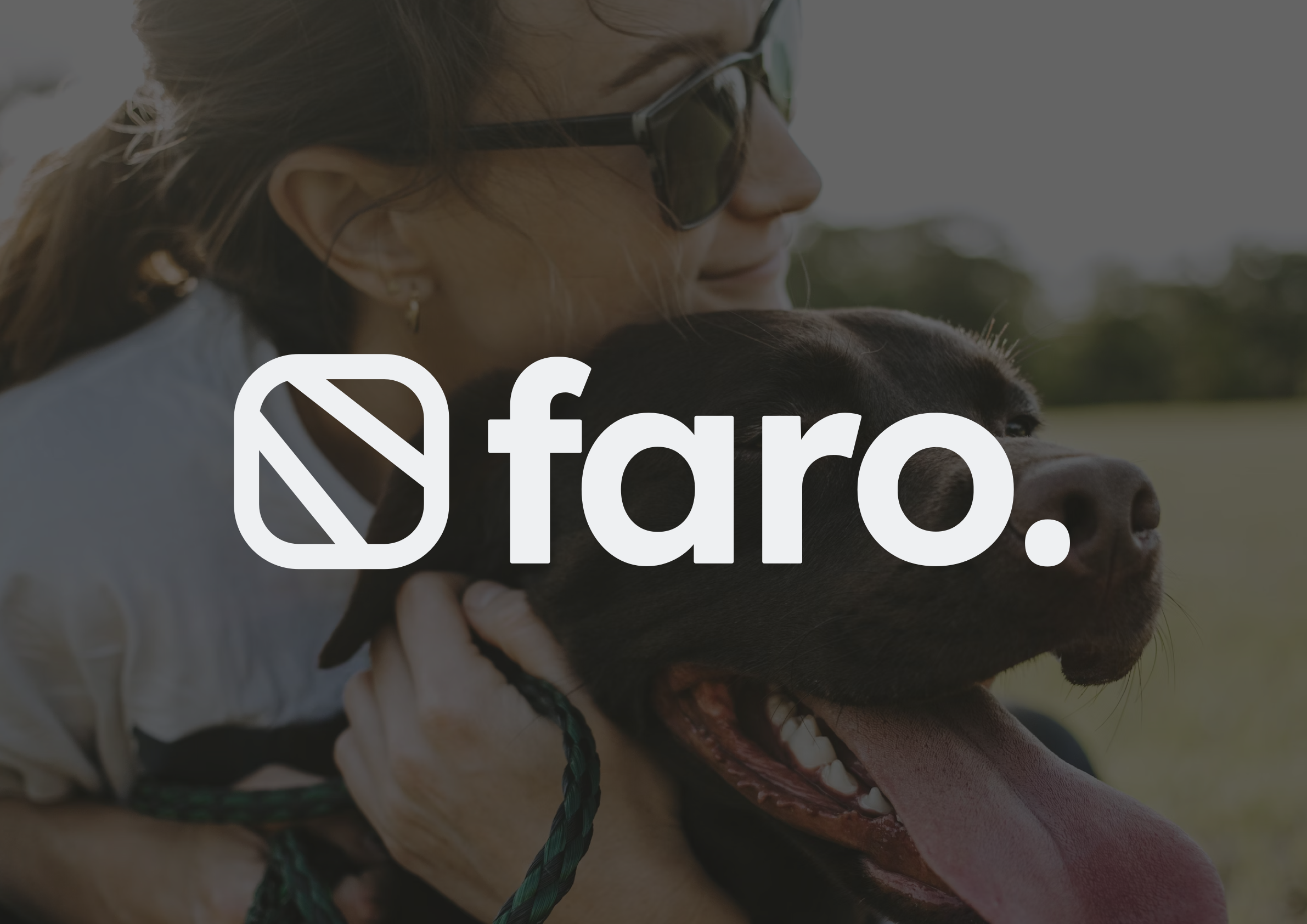 FARO: Brand Identity